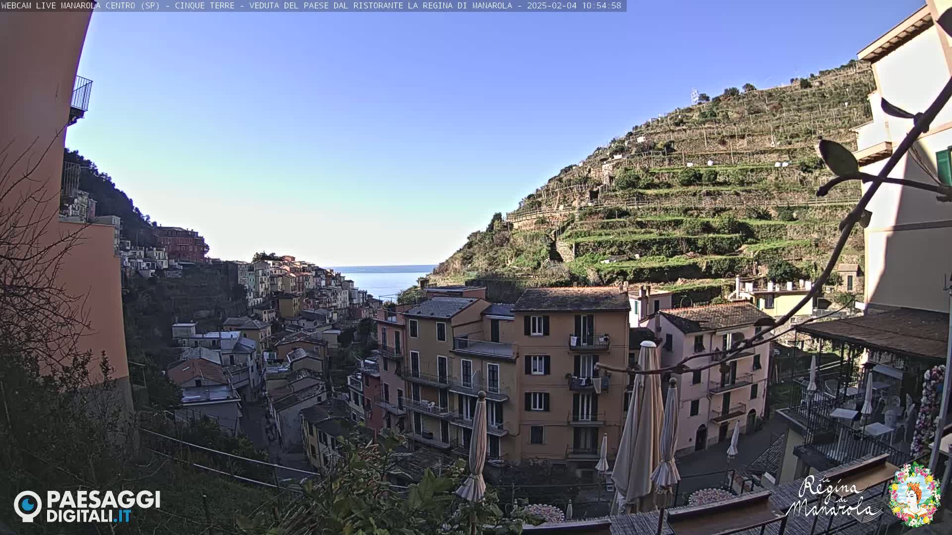 A clear, sunny day overlooks a colorful hillside village cascading down to a calm ocean, terraced vineyards ascending the opposite hillside.