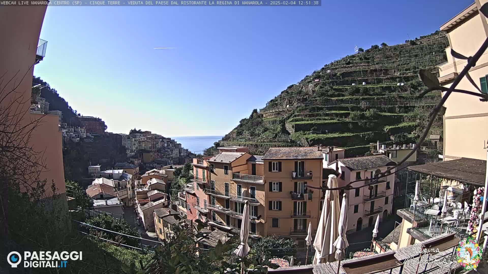 A sunny day overlooking a colorful Italian village nestled on a hillside, terraced vineyards rising above, with a clear blue sea visible in the distance.