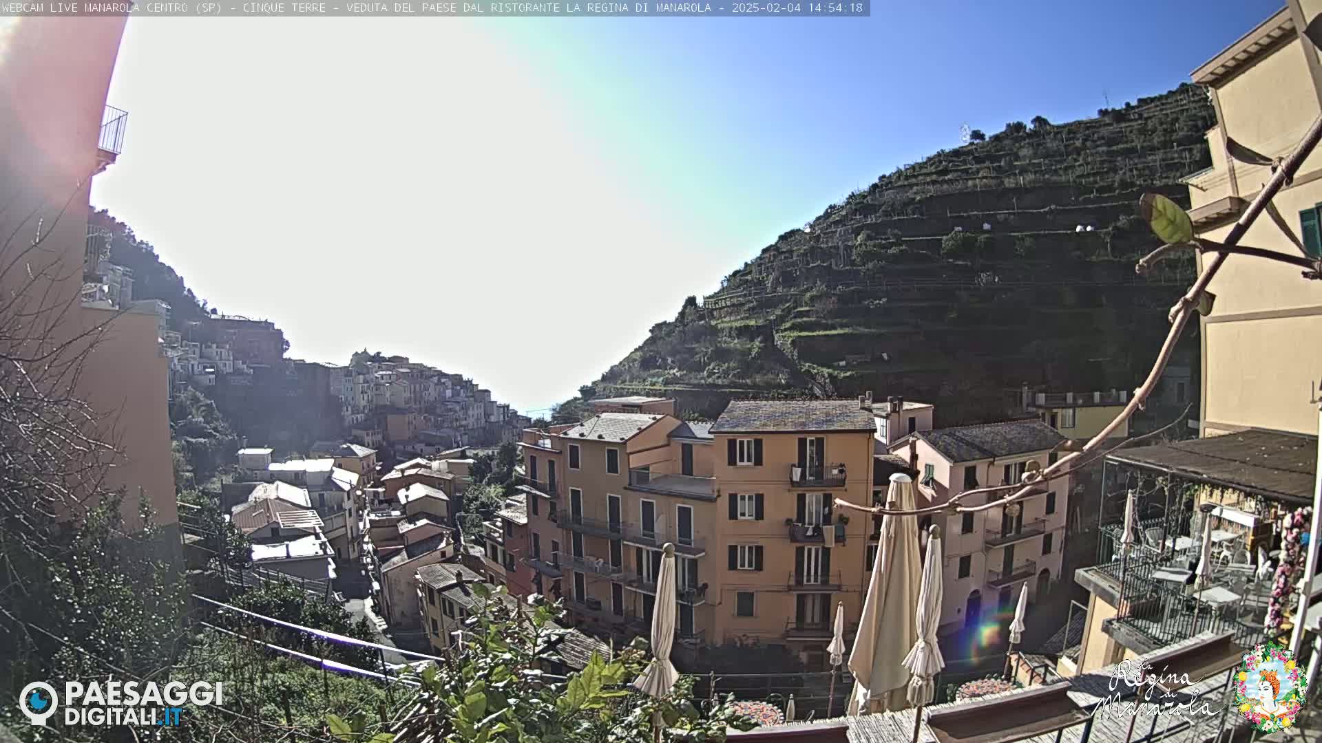 A sunny view of a colorful Italian village nestled on a hillside, with terraced vineyards climbing the mountain behind it.