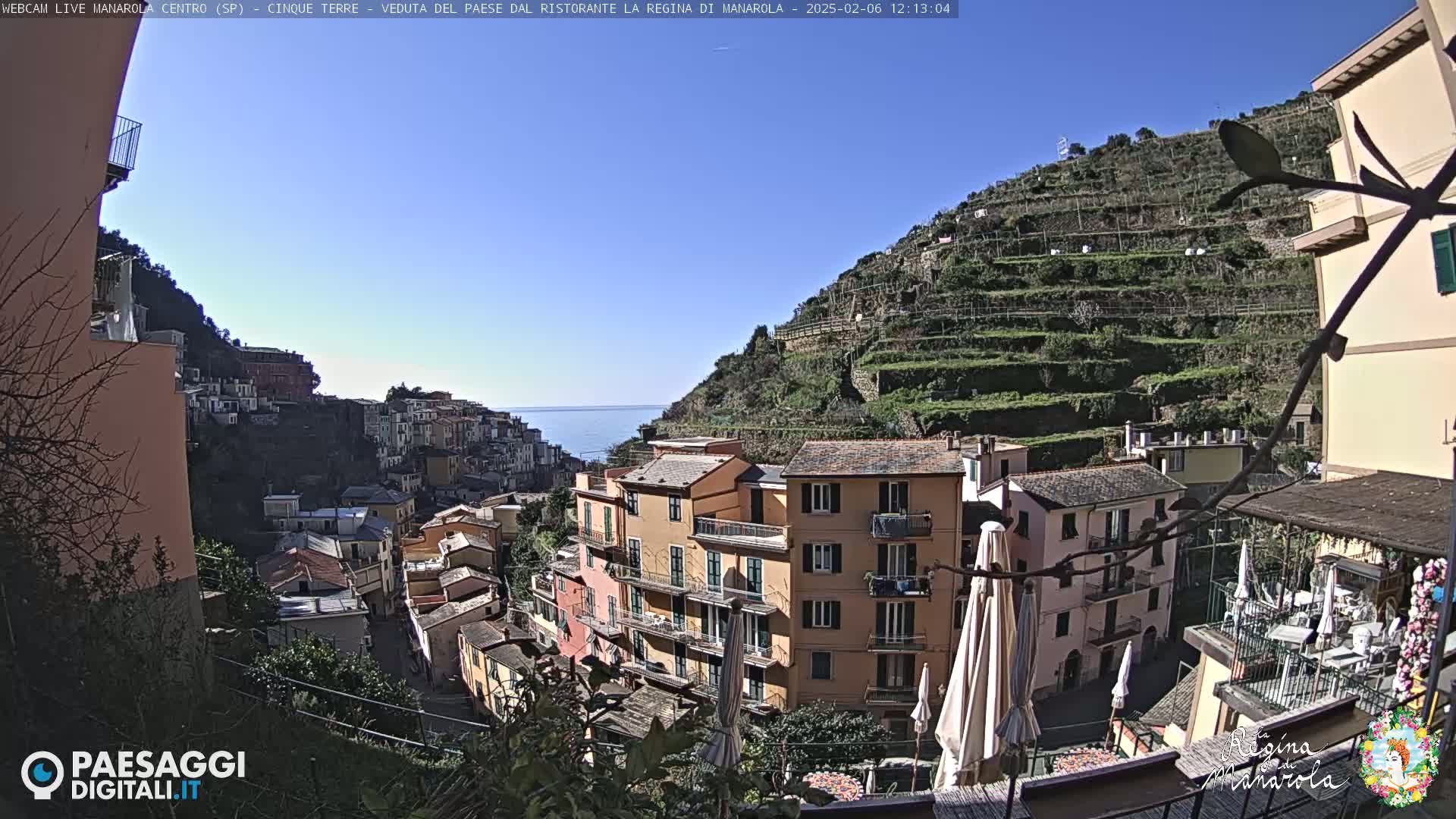 A sunny view of a colorful Italian village built into a hillside overlooking a calm sea, with terraced vineyards ascending the mountain behind it.