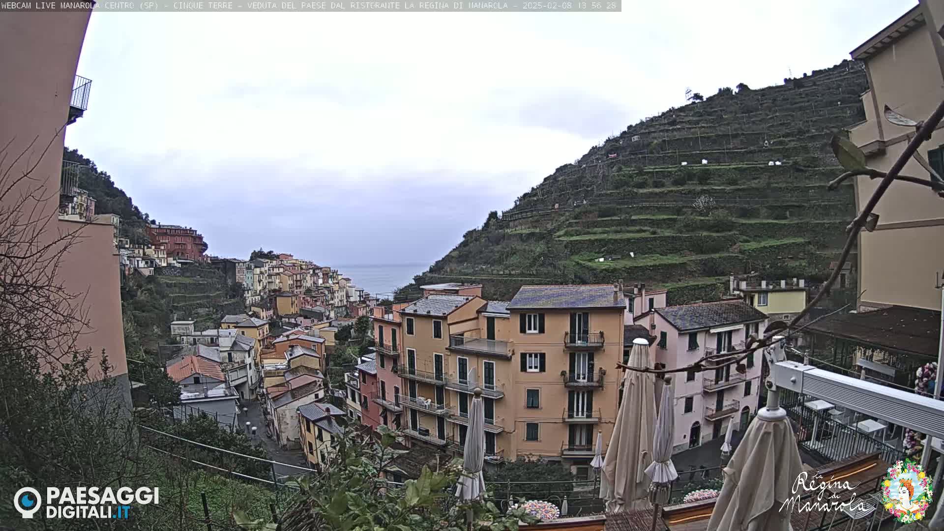 Overcast skies loom over a hillside village of colorful buildings, terraced vineyards, and the sea in the distance.