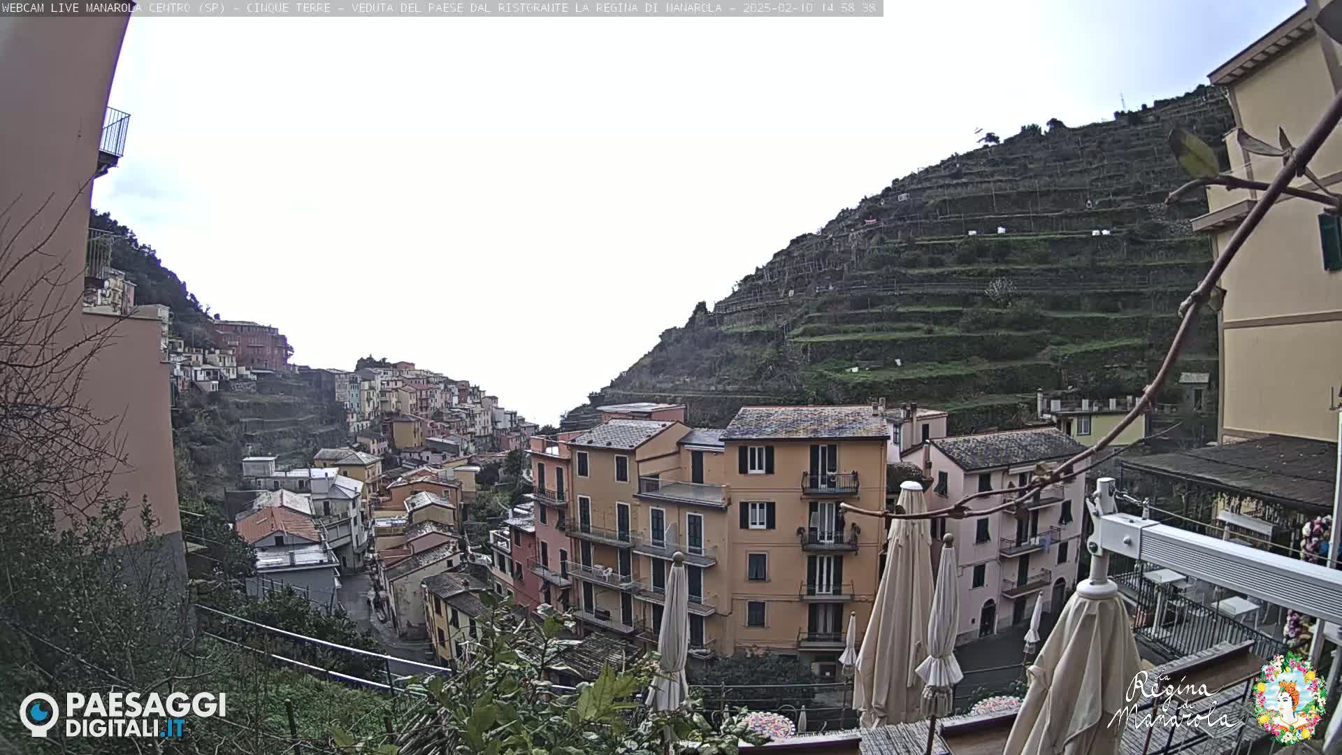 A hillside village of colorful buildings overlooks terraced vineyards under an overcast sky.