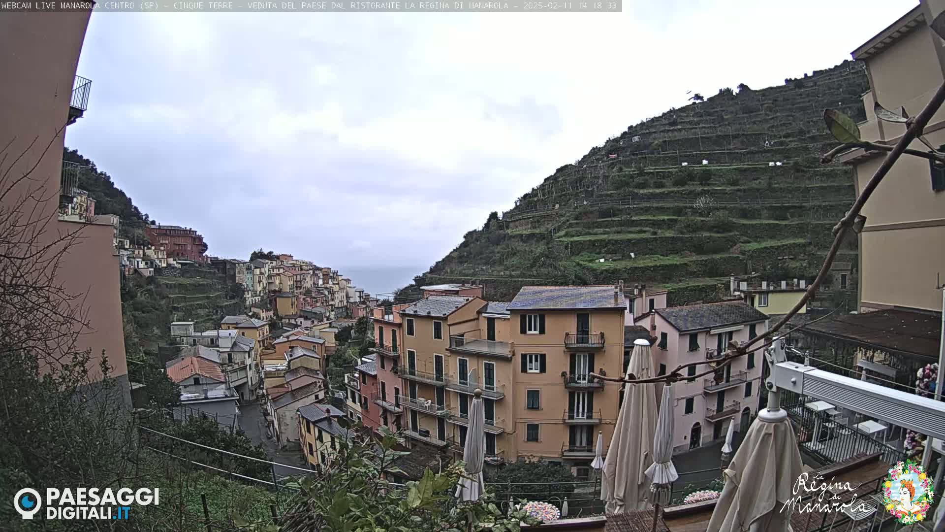 A view of a hillside village with multi-story buildings, terraced vineyards, and overcast skies.
