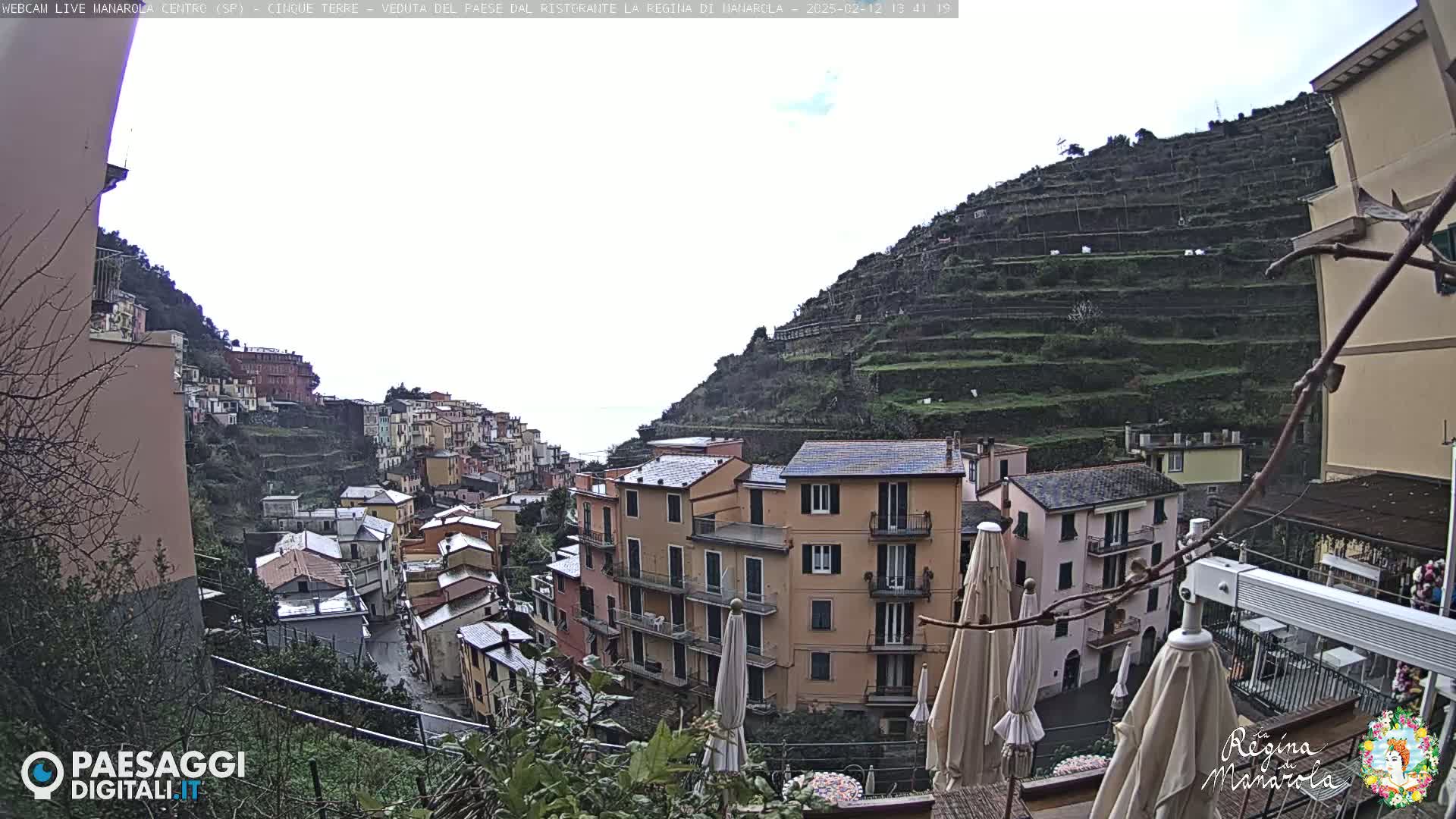 A hillside village with terraced gardens overlooks a sea, under an overcast sky.