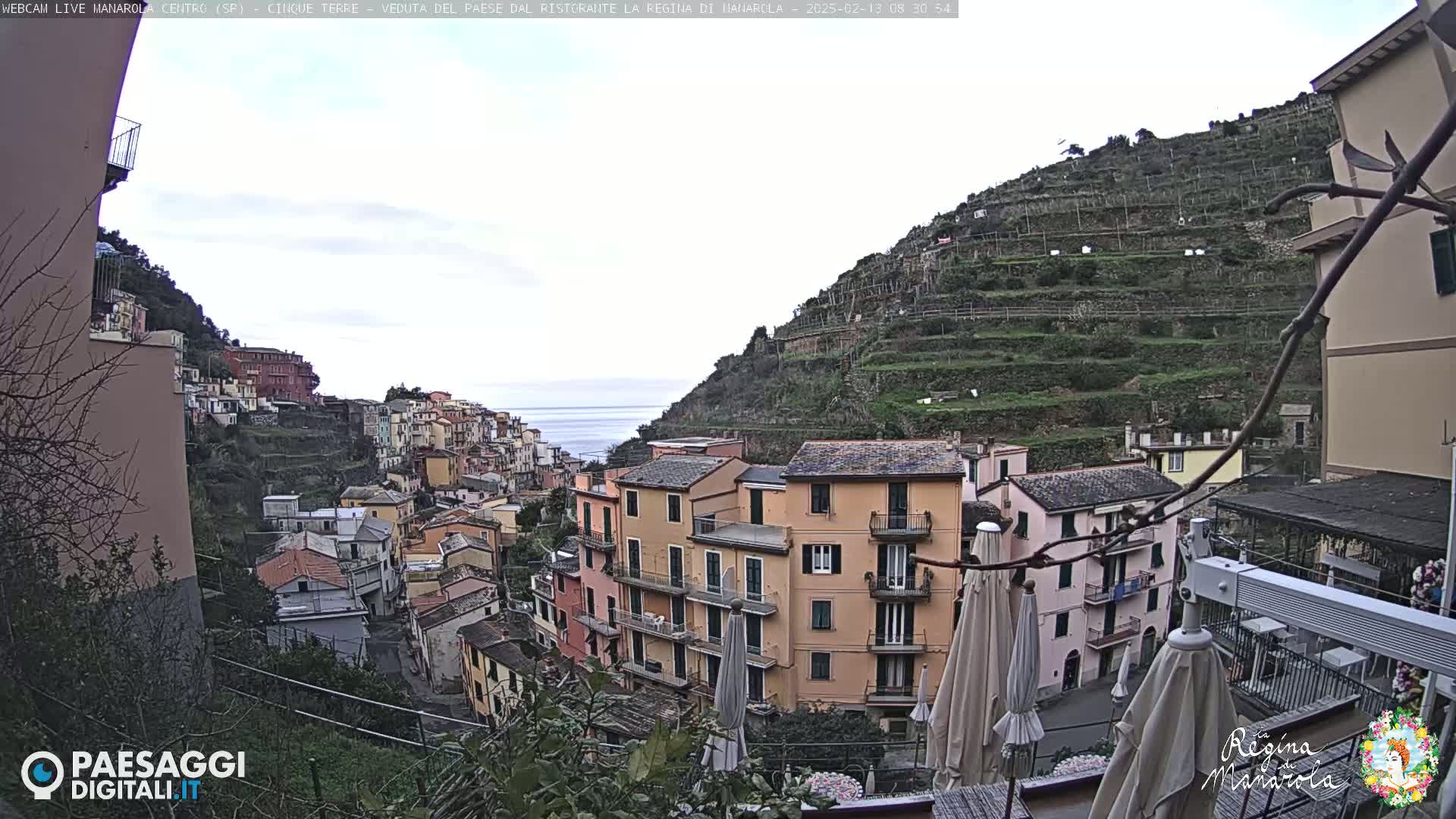 A view of a hillside village with colorful buildings, terraced vineyards, and the ocean in the distance on a cloudy day.