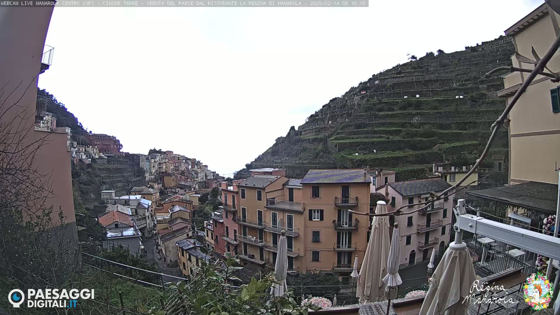 A hillside village with colorful buildings and terraced vineyards is viewed on an overcast day.