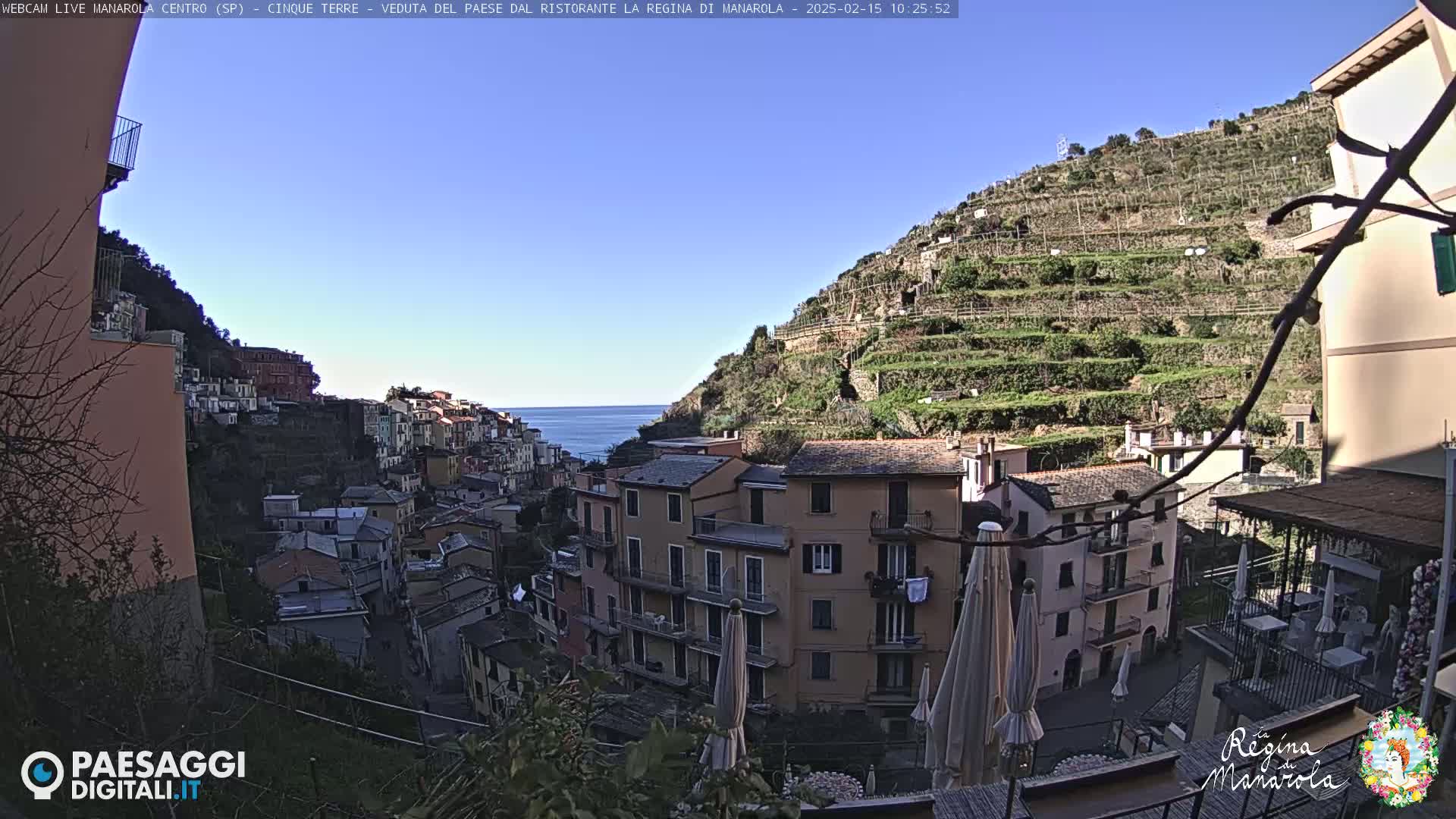 A clear, sunny day overlooks a colorful hillside village nestled against a terraced vineyard, with a calm sea visible in the distance.
