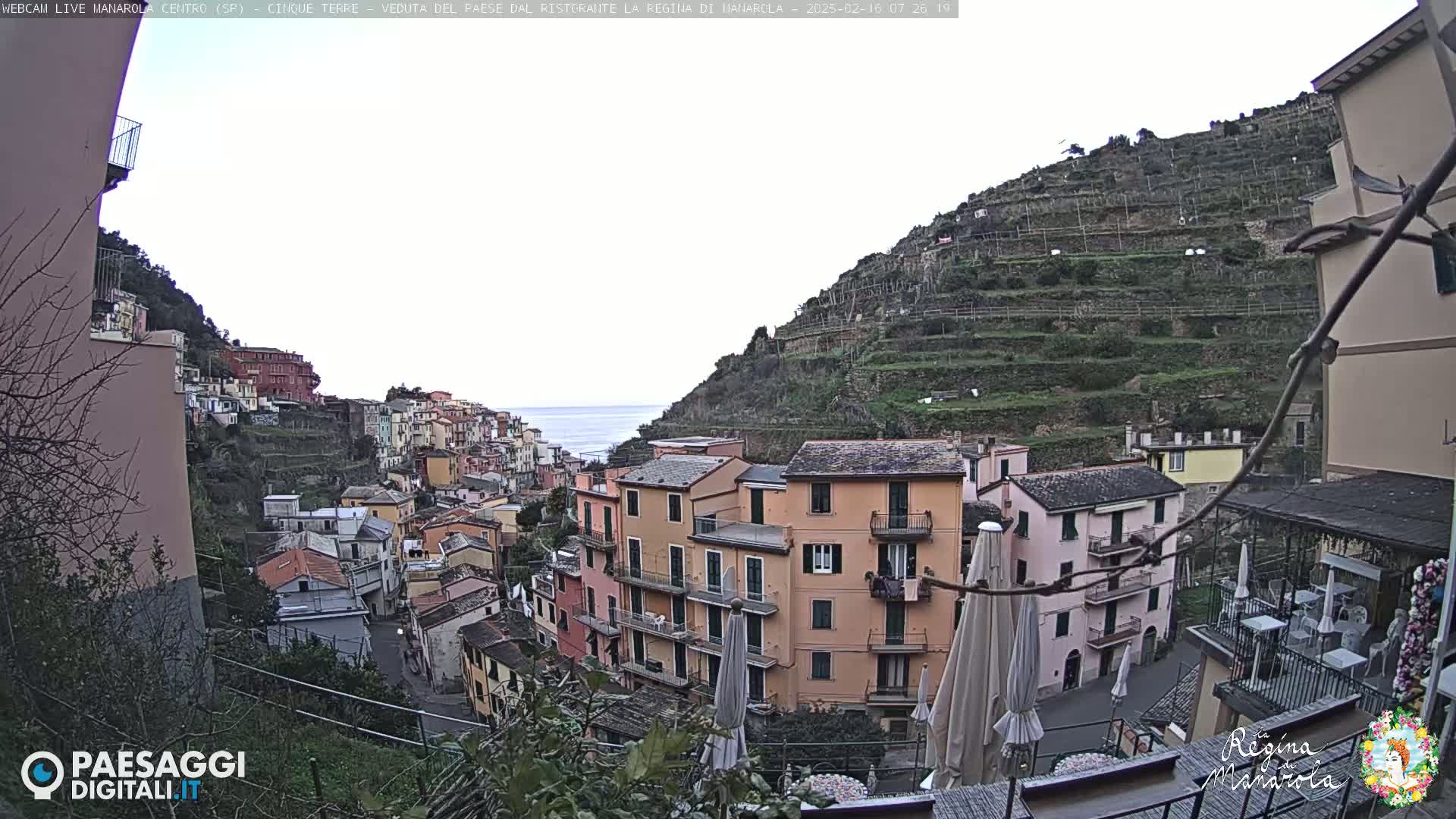 A coastal village clings to a hillside, terraced vineyards rising above pastel-colored buildings under an overcast sky.
