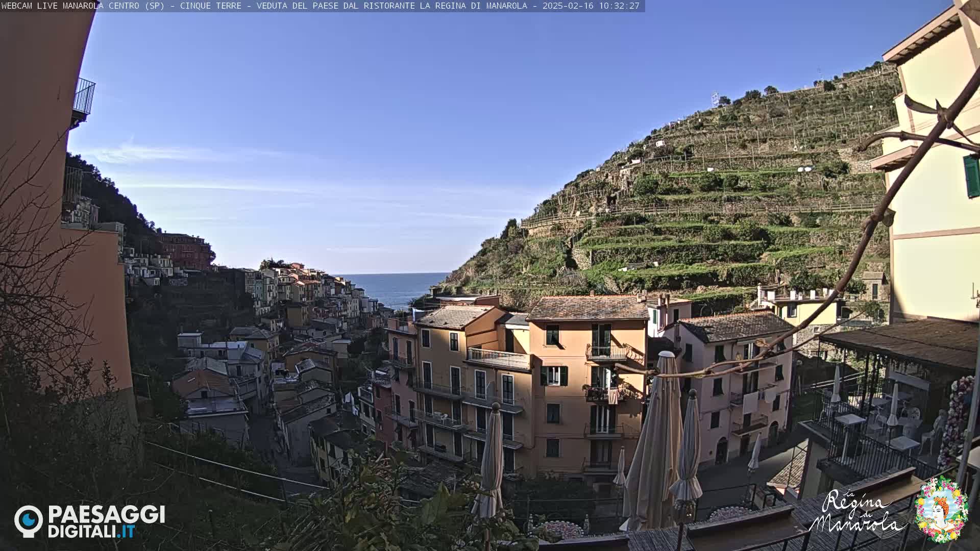 A sunny view of a colorful hillside village overlooking the sea, with terraced vineyards on the upper slopes.