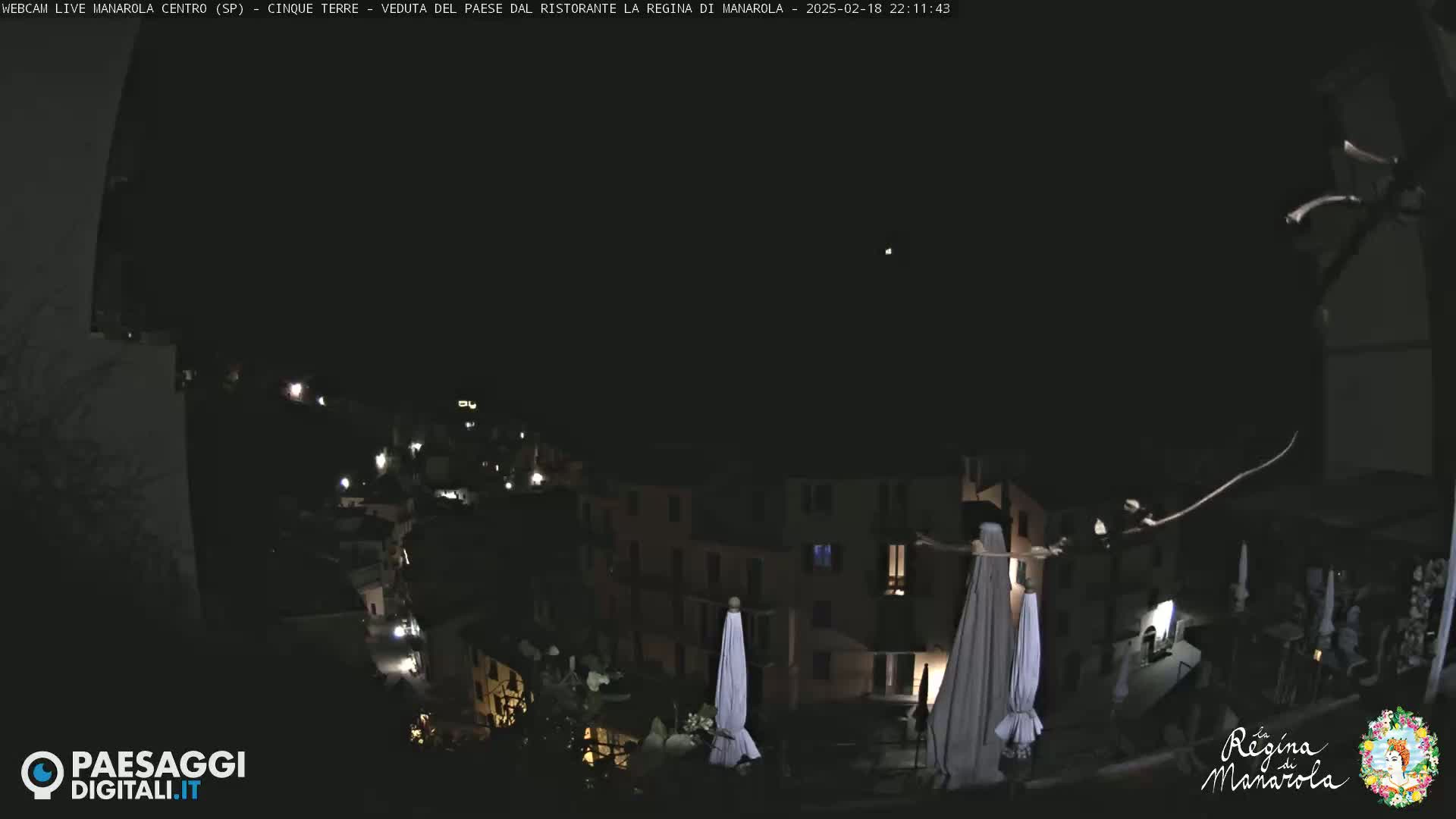 A nighttime view of a village with a few lights on, under a clear, dark sky.