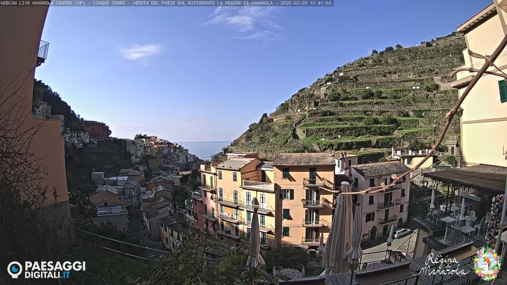 A clear, sunny day overlooks a colorful Italian village built into a hillside with terraced vineyards, the ocean visible in the distance.