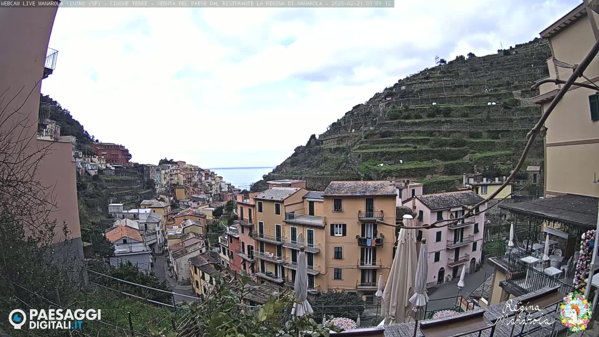 A picturesque coastal village on a hillside with terraced vineyards, under a mostly cloudy sky, overlooks a calm sea.