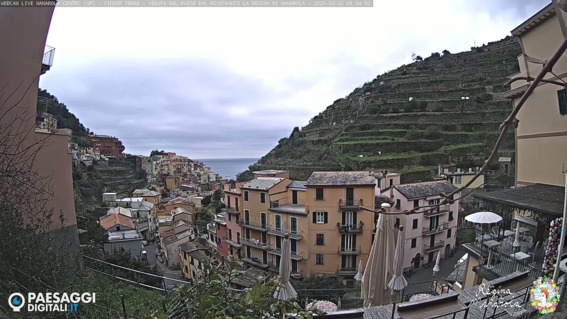 A view of a hillside village with terraced vineyards overlooking the sea on an overcast day.