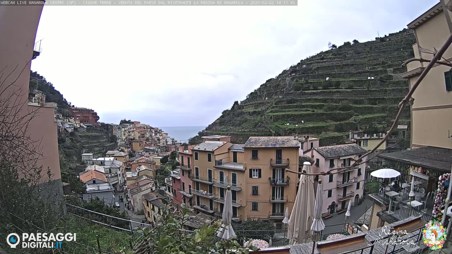 A hillside village with colorful buildings, terraced vineyards, and an overcast sky overlooks a calm sea.
