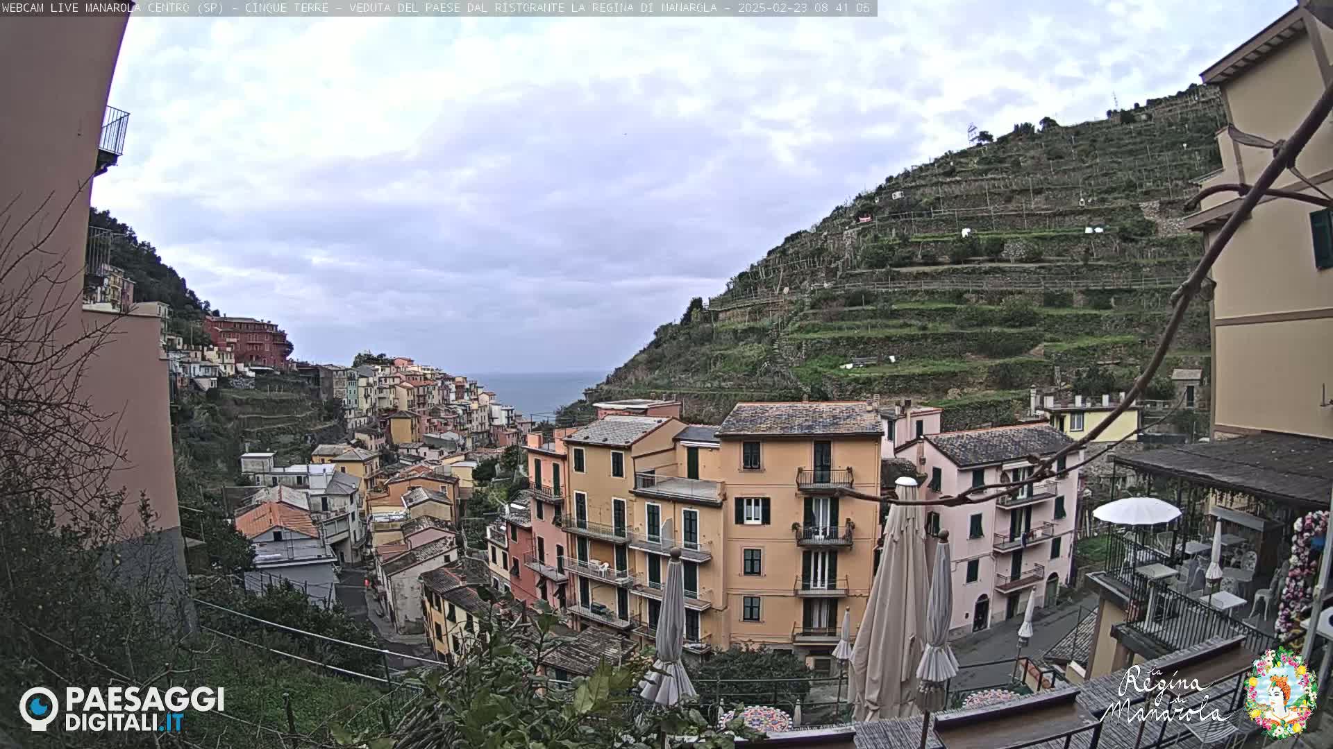 A hillside village with colorful buildings and terraced vineyards overlooks a calm sea under a cloudy sky.
