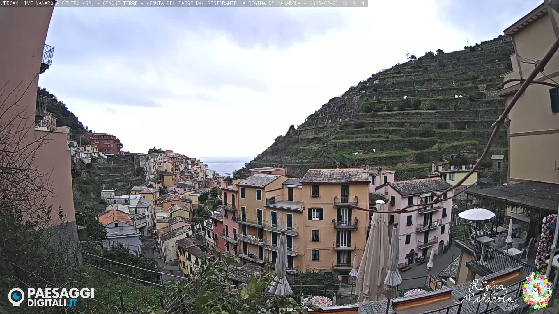 A hillside village with colorful buildings and terraced vineyards overlooks a calm sea under a cloudy sky.