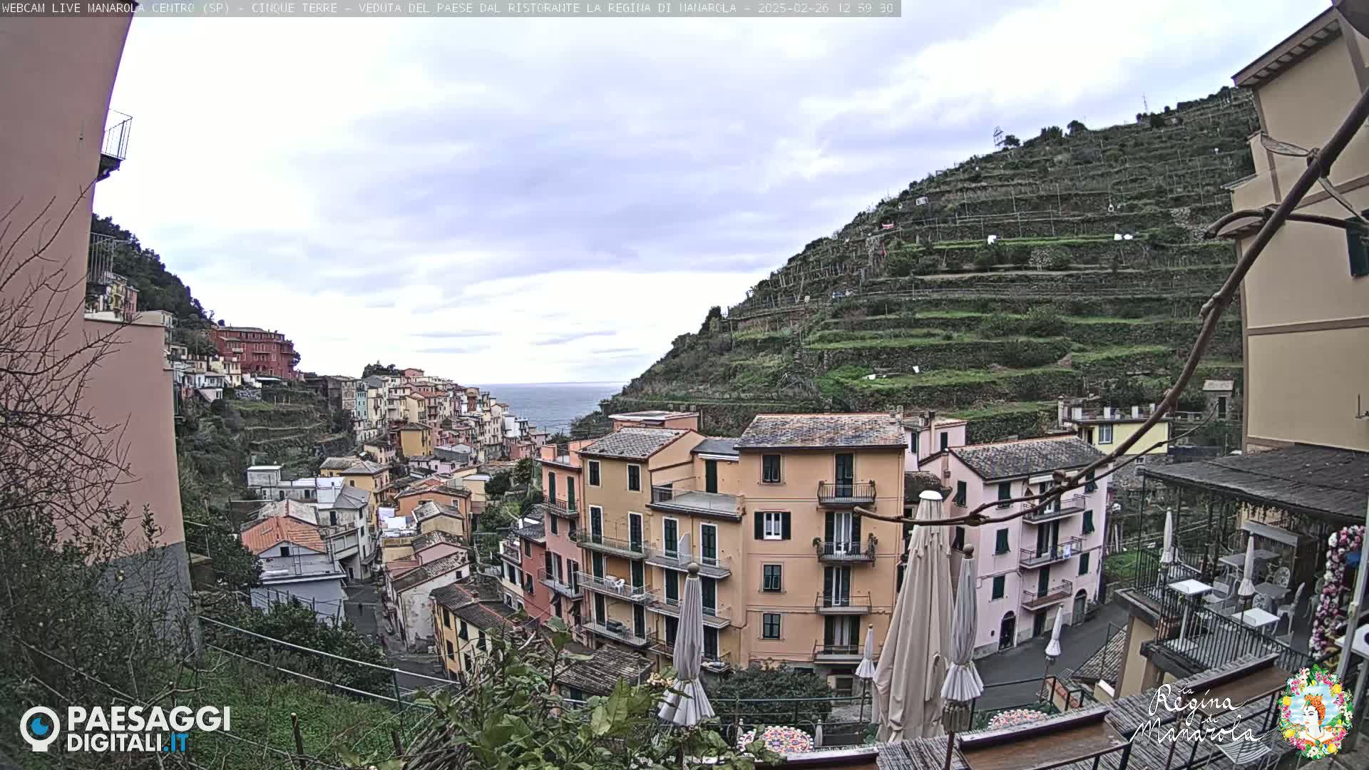 A coastal village nestled on a hillside, with terraced vineyards rising above colorful buildings, under an overcast sky.