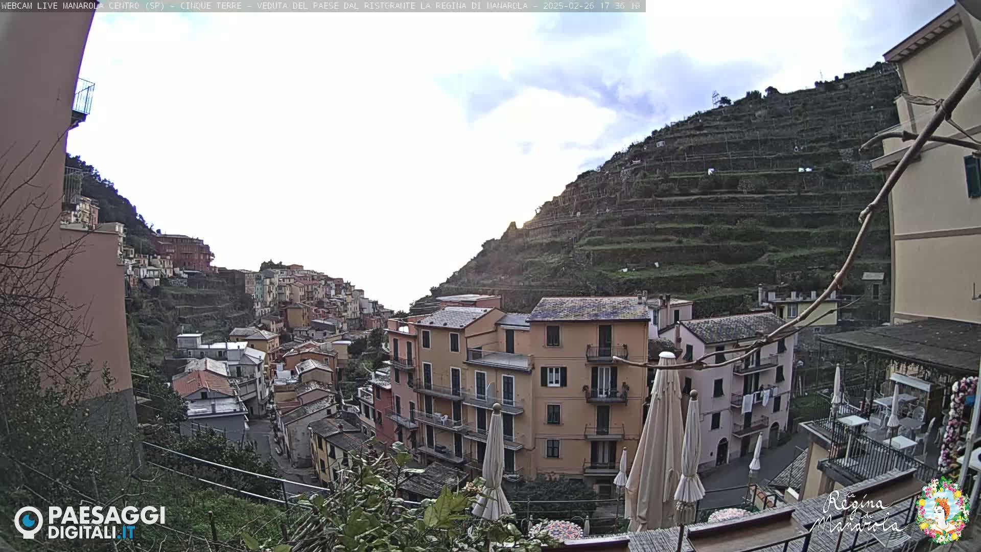 A hillside village of colorful buildings, terraced vineyards, and an overcast sky is visible from a slightly elevated vantage point.