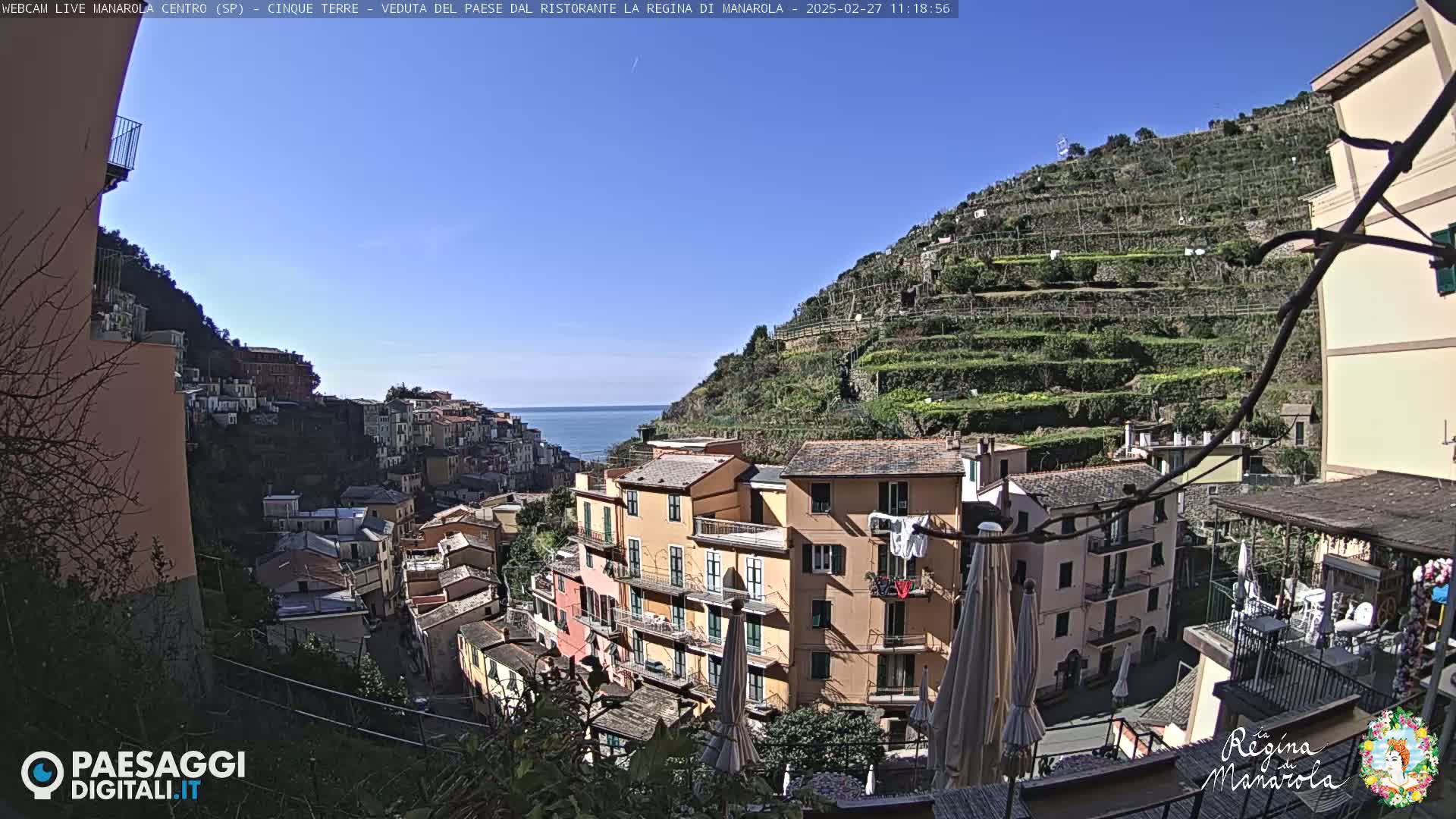 A clear, sunny day overlooks a colorful Italian village built into a hillside overlooking the ocean, with terraced vineyards on the upper slopes.