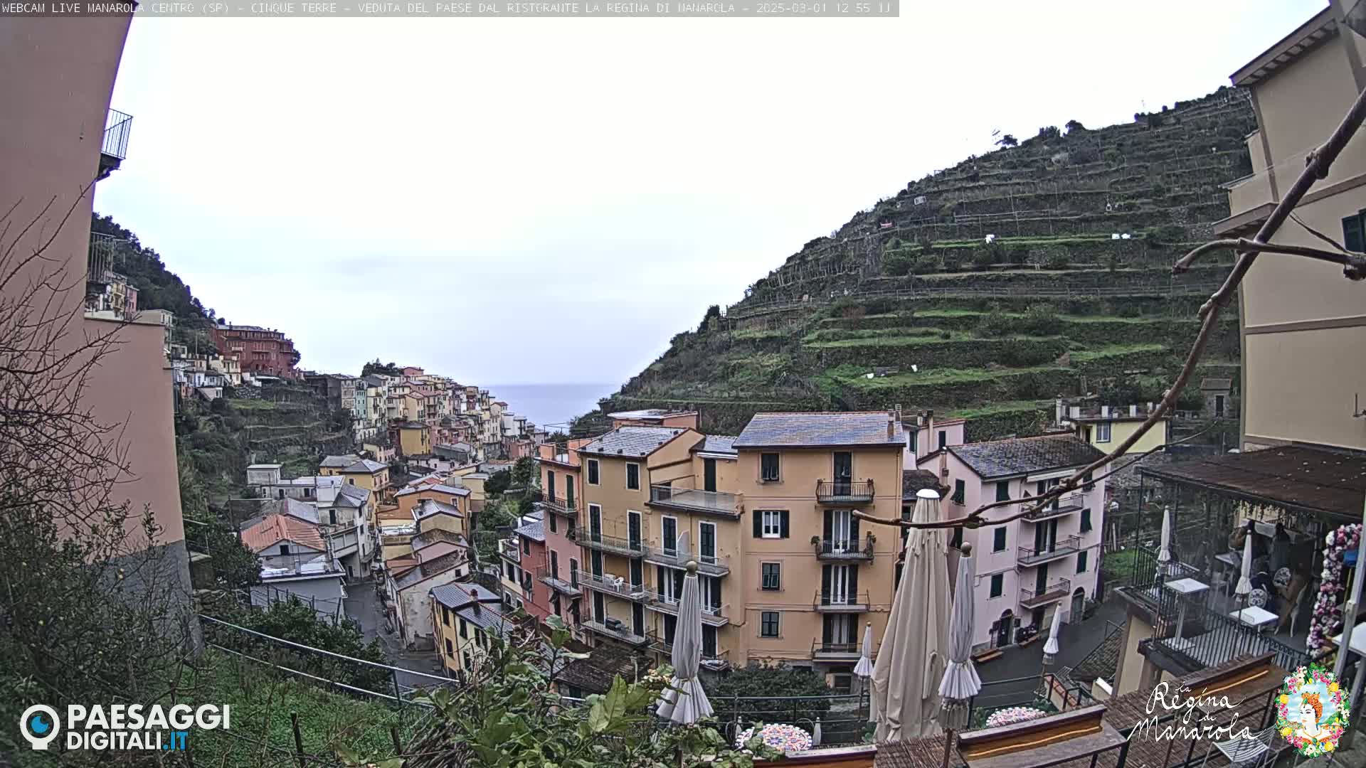 A view of a hillside village with colorful buildings, terraced vineyards, and a partially cloudy sky.