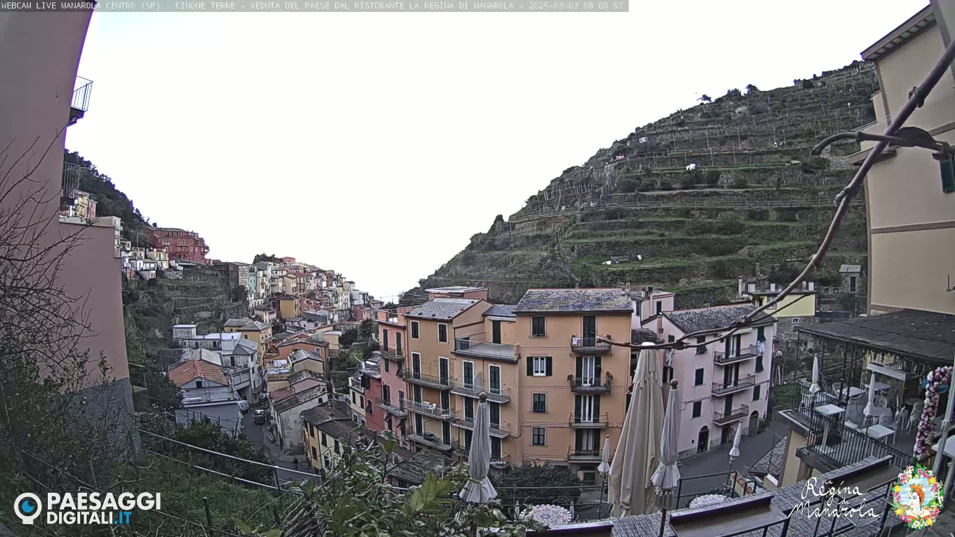 A hillside village with multi-story buildings, terraced vineyards, and overcast skies.