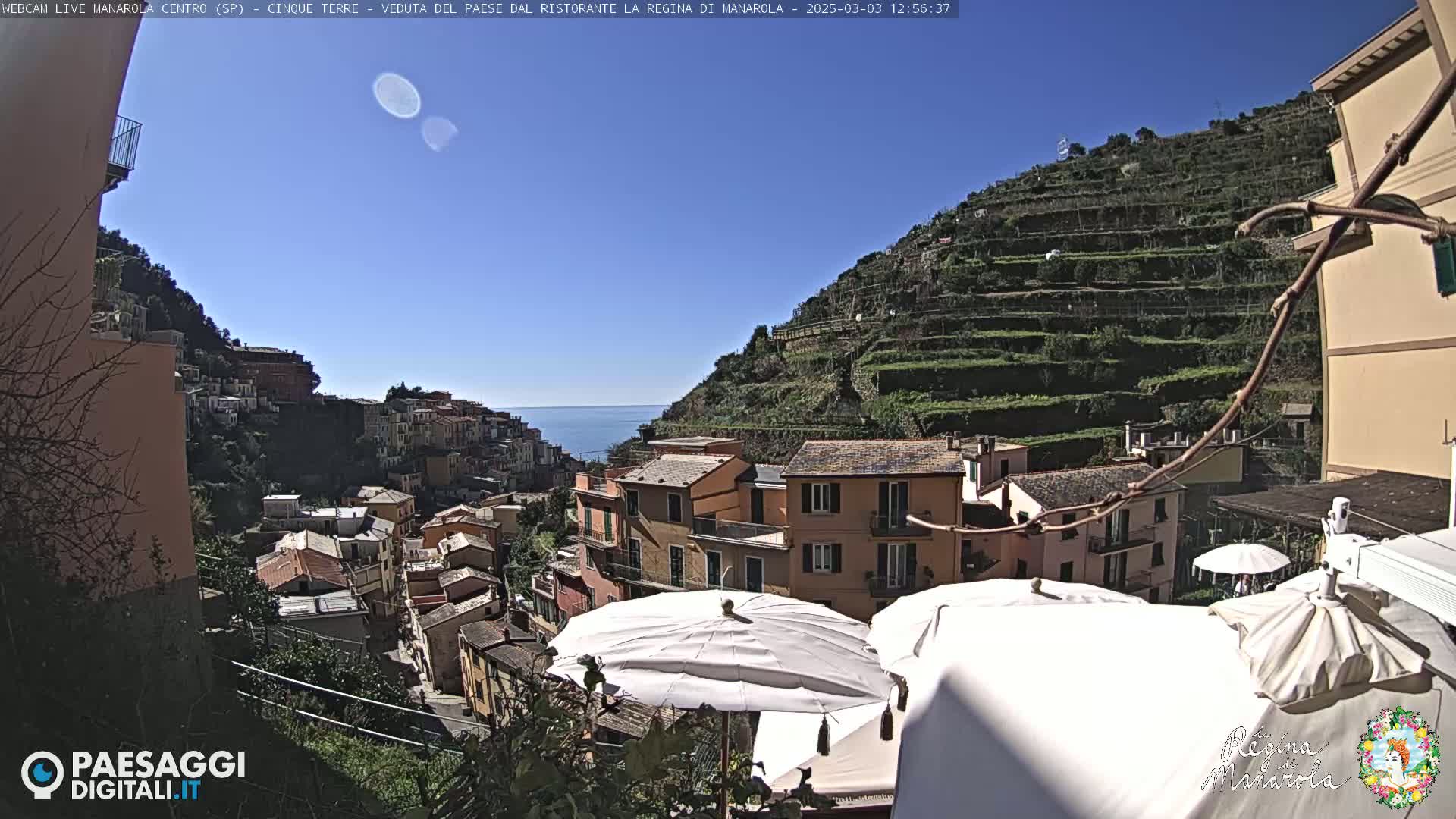 A sunny day overlooks a colorful Italian coastal village nestled on a hillside with terraced vineyards, overlooking the ocean.