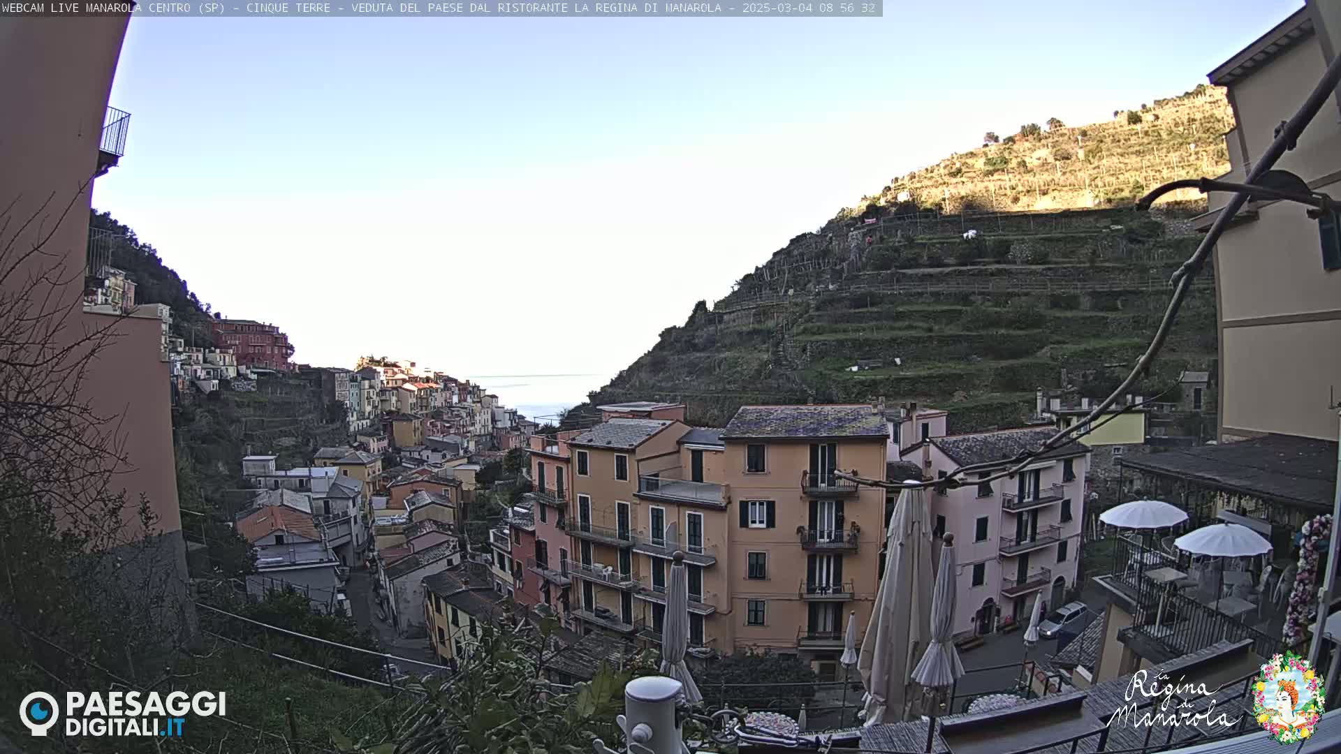 A coastal village clings to a steep hillside under a clear, bright sky, with terraced vineyards rising above the colorful buildings and the sea visible in the distance.
