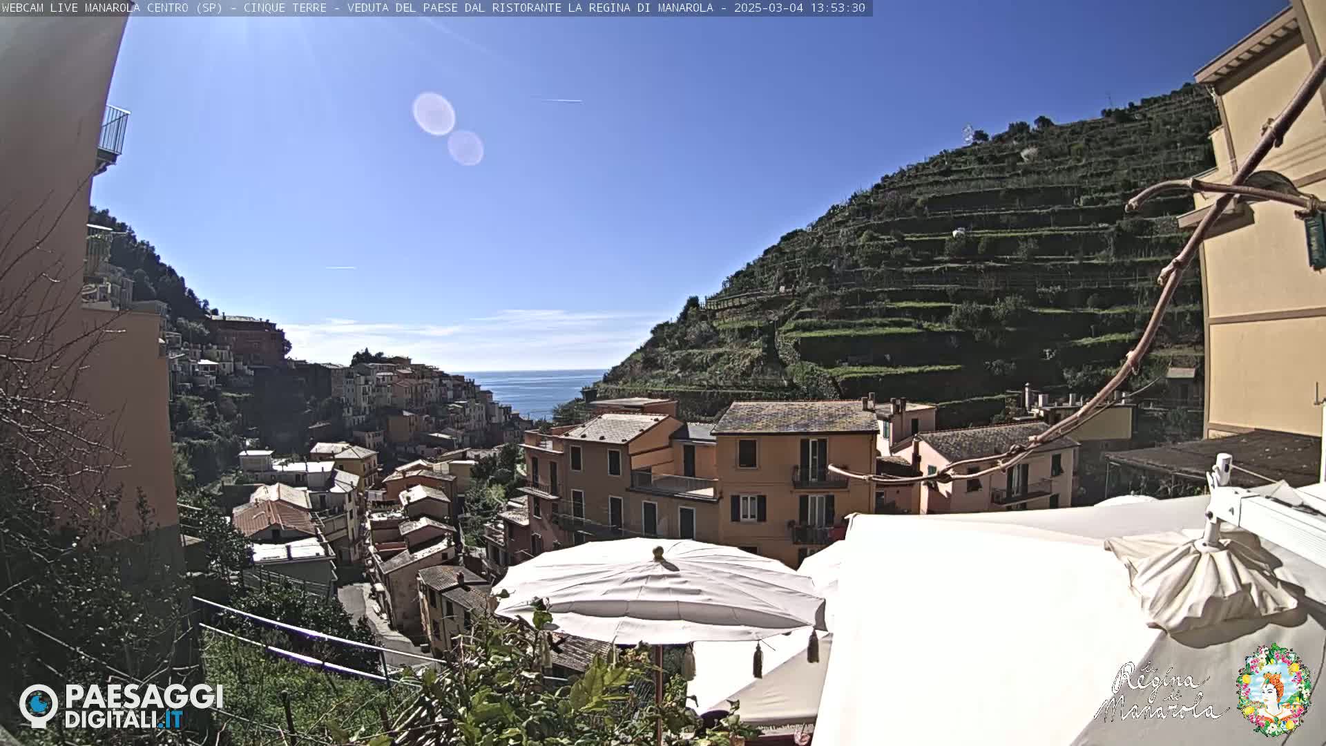 A sunny day overlooking a colorful Italian hillside village with terraced vineyards and the ocean in the distance.