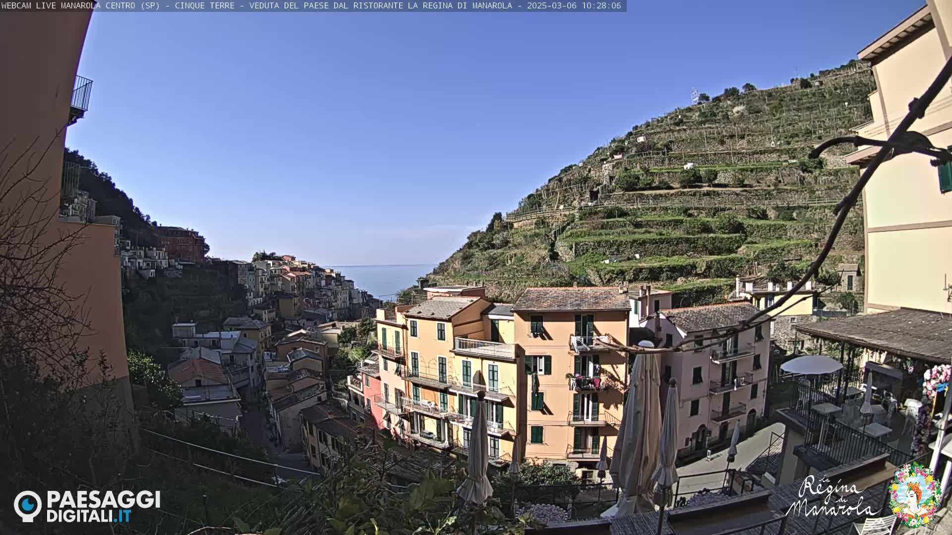 A sun-drenched coastal village clings to a hillside, terraced vineyards rising above colorful buildings that overlook a calm sea.