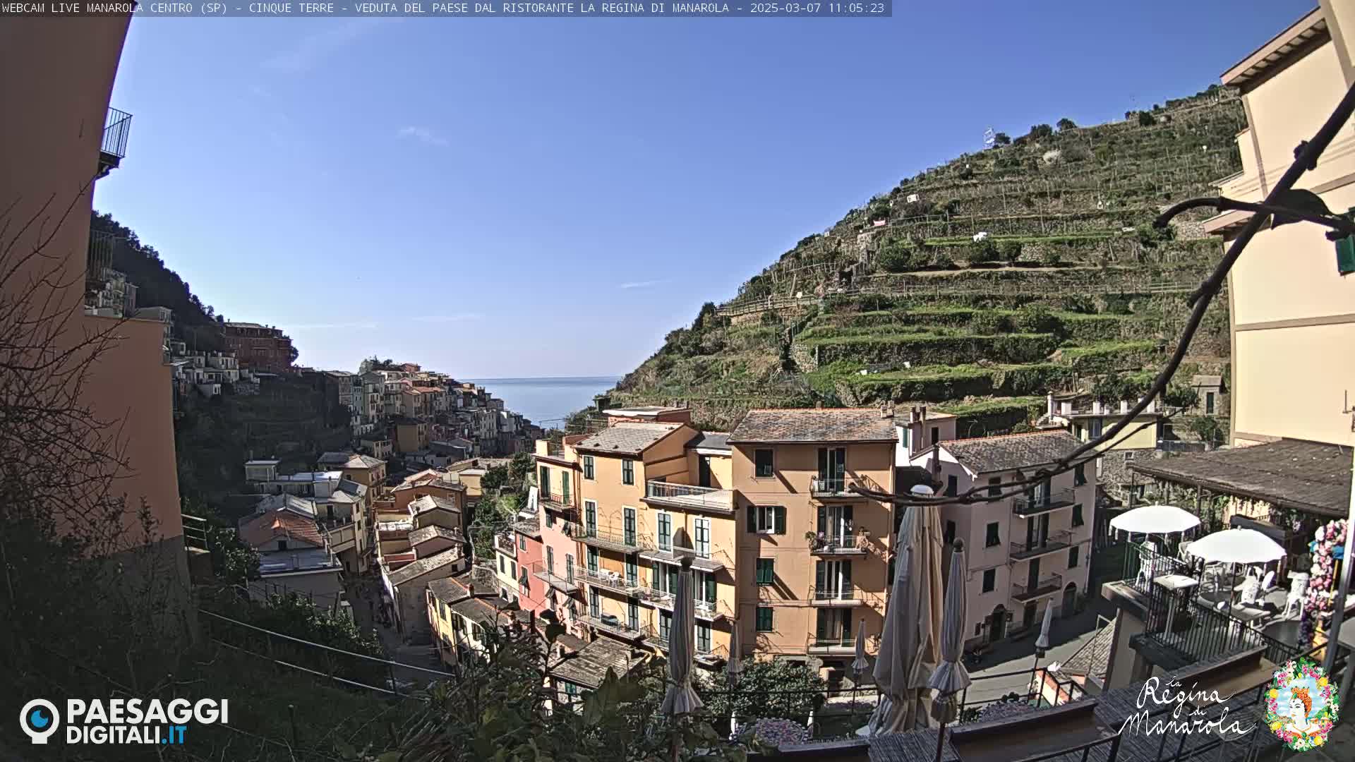 A clear, sunny day reveals a coastal village nestled on a hillside, with terraced vineyards climbing the slopes above colorful buildings that cascade down to the sea.