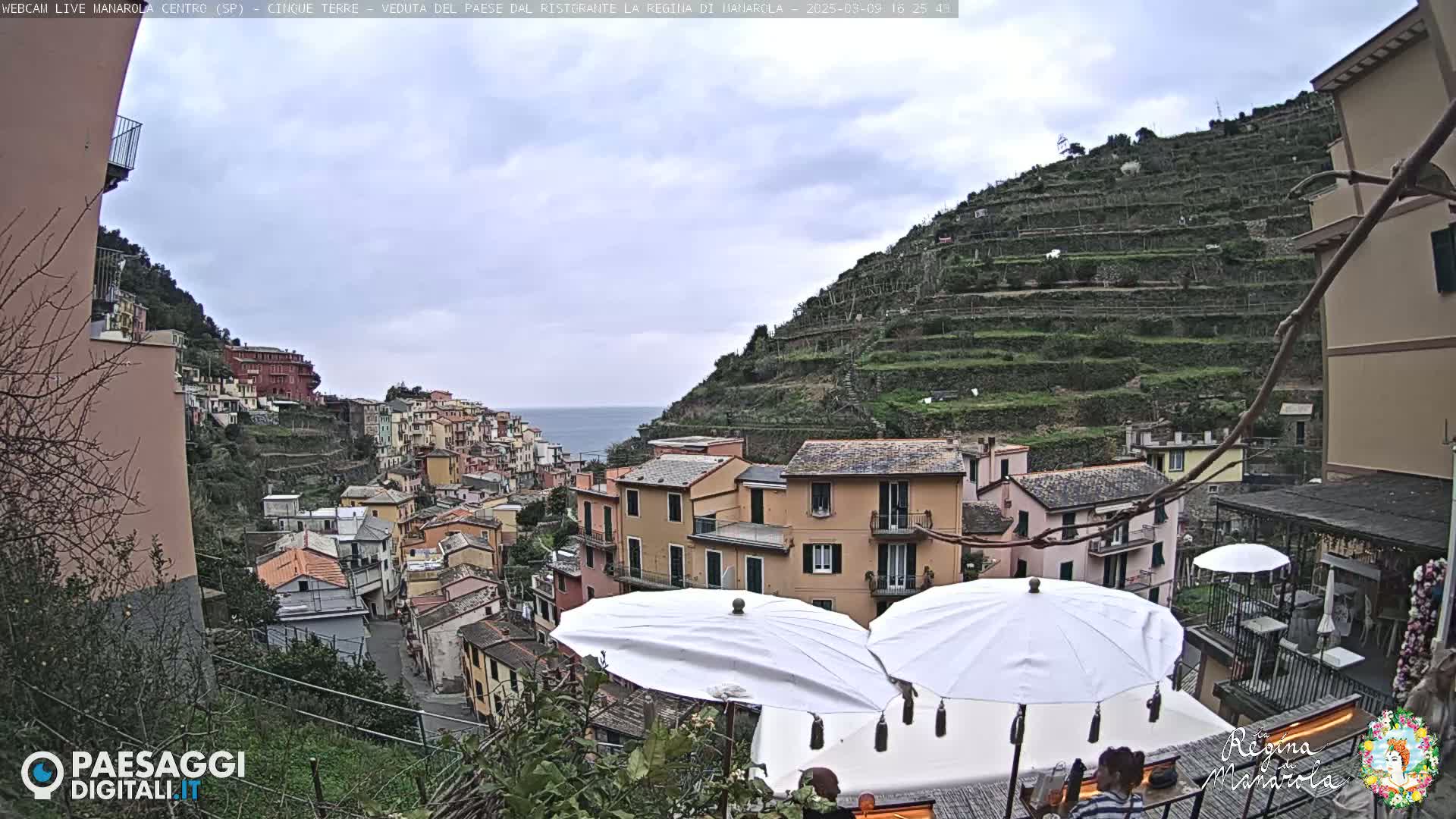 A coastal village clings to a hillside, terraced vineyards rising above multi-colored buildings under a mostly cloudy sky.
