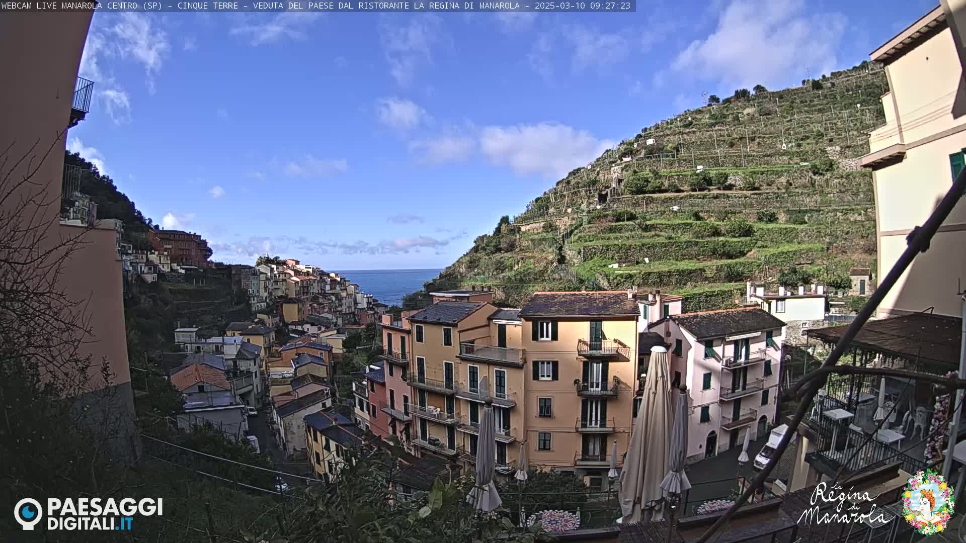 A sunny day overlooking a colorful hillside village with terraced vineyards, a calm ocean in the background.