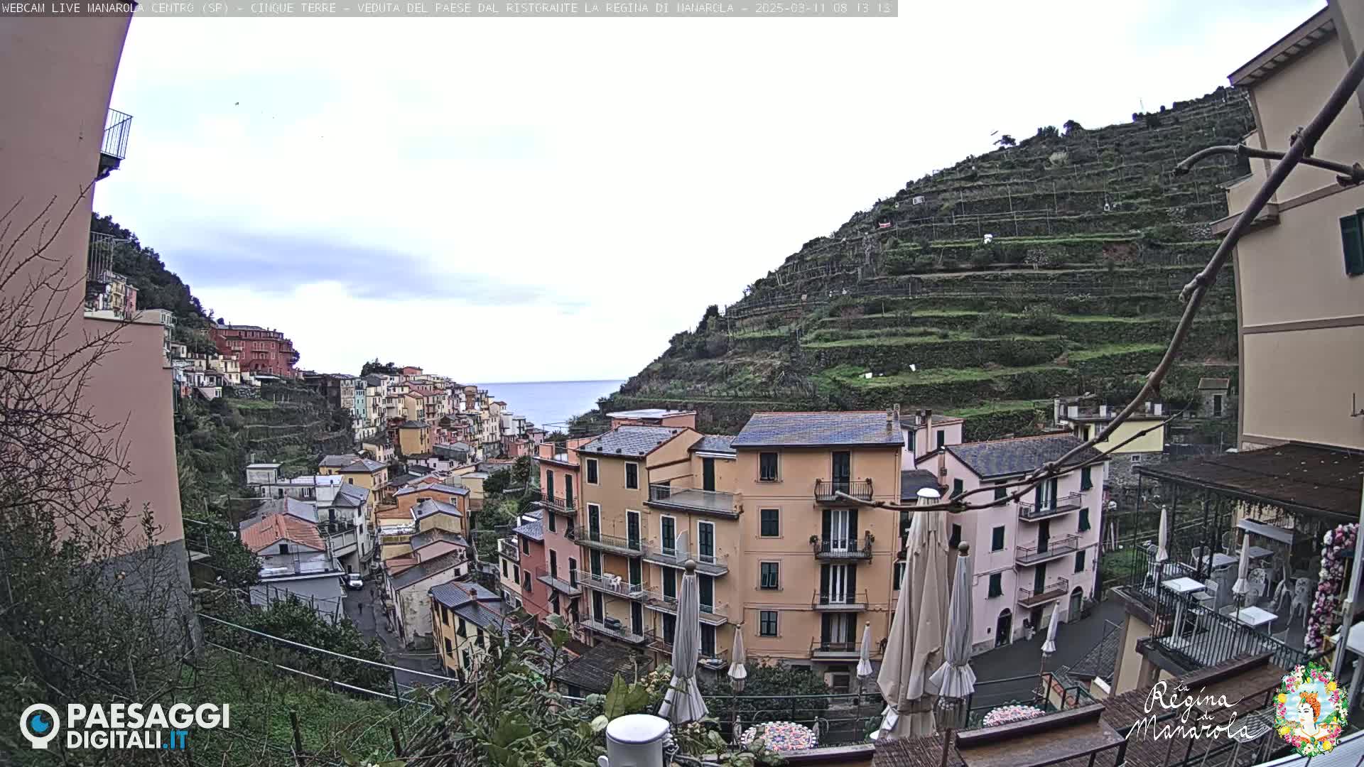 A coastal village clings to a hillside terraced with greenery, under an overcast sky, overlooking a calm sea.