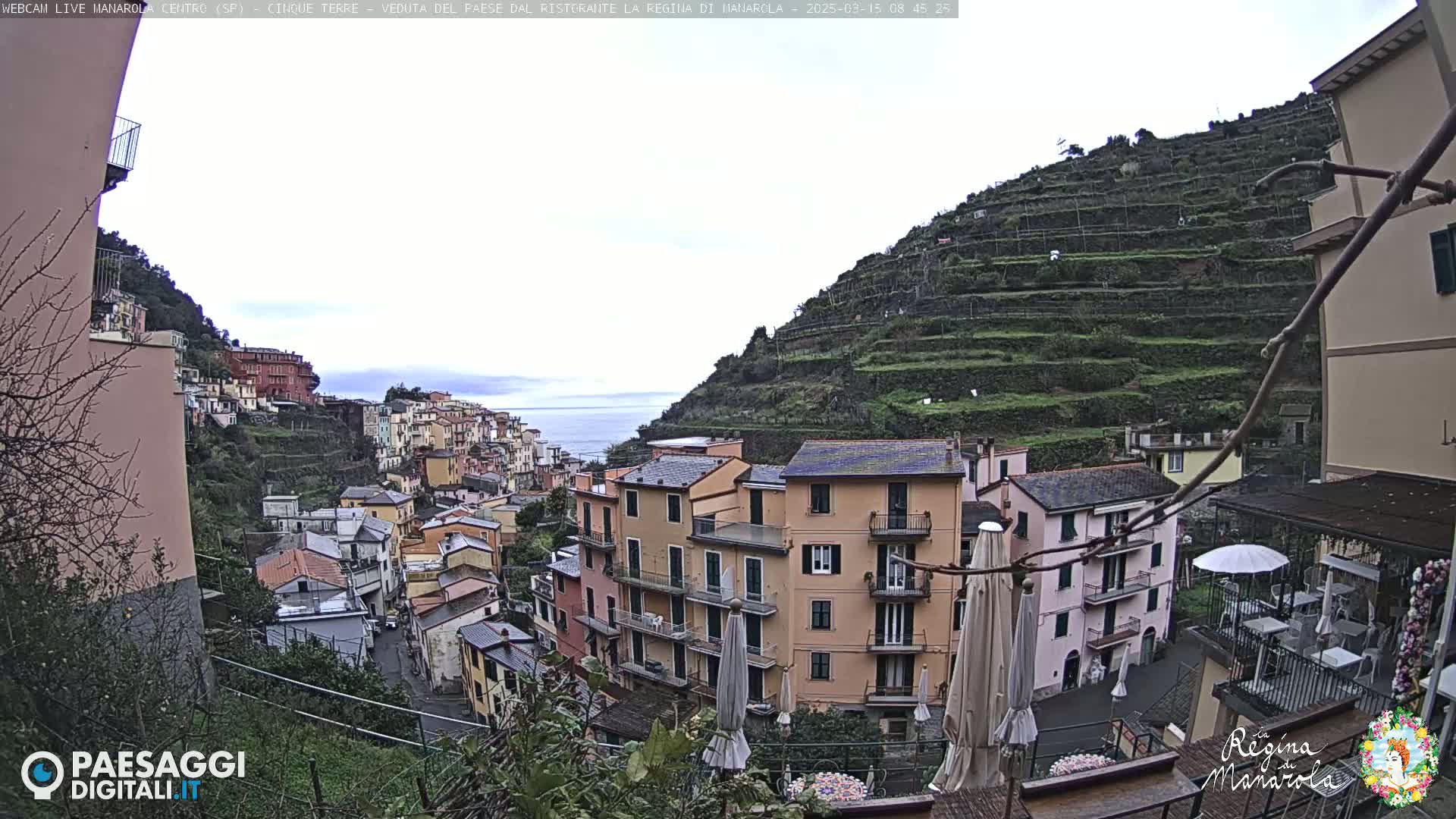 A view of a coastal town nestled on a hillside, overlooking the sea on an overcast day, with terraced vineyards rising behind the buildings.