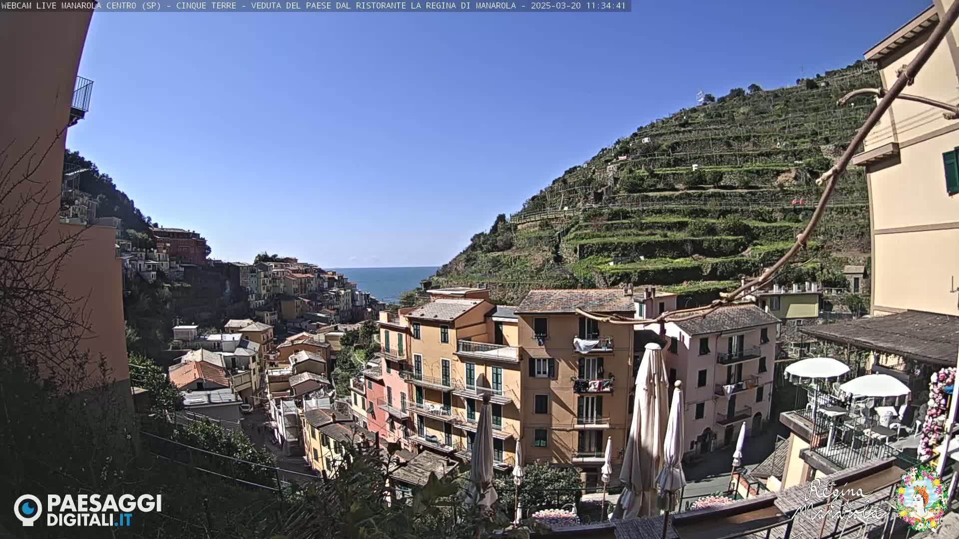 A sunny day overlooks a colorful, hillside village with terraced vineyards and the ocean visible in the distance.