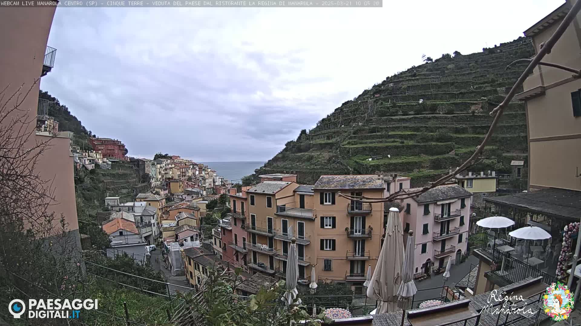 A coastal village built into a hillside, with terraced vineyards rising above colorful buildings, under an overcast sky.