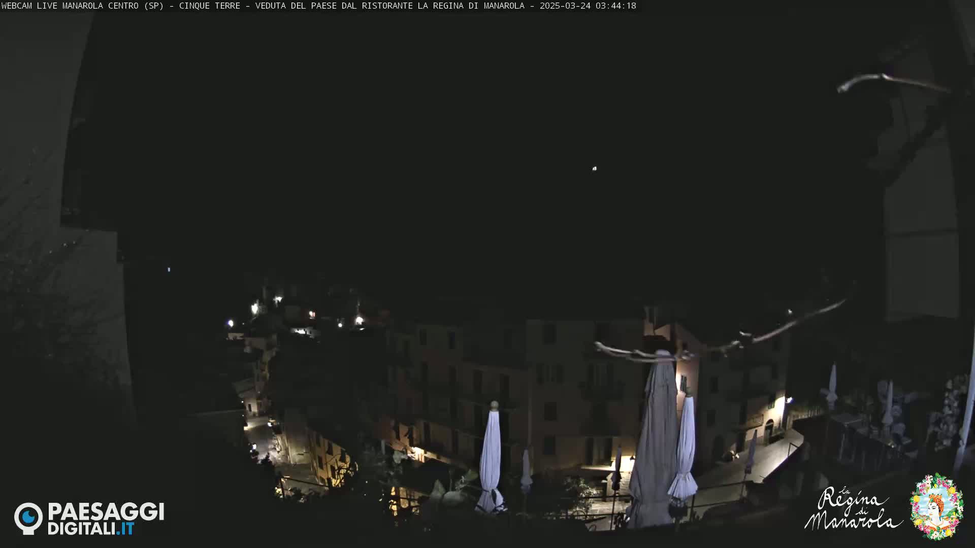 A nighttime, high-angle view of a village with closed umbrellas and dimly lit buildings under a dark, clear sky.