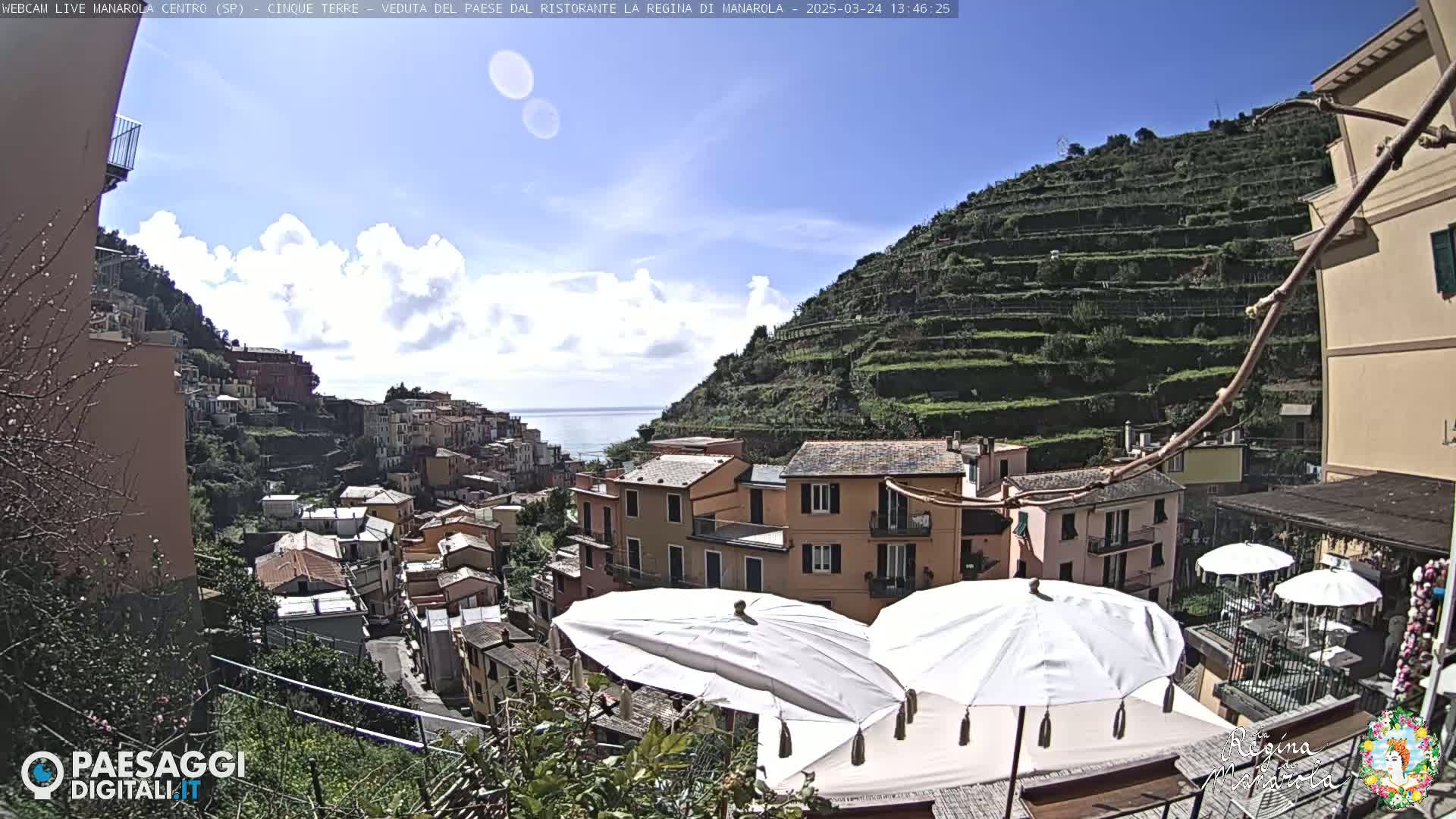 A coastal village clings to a hillside, terraced vineyards rising above colorful buildings under a partly cloudy sky.