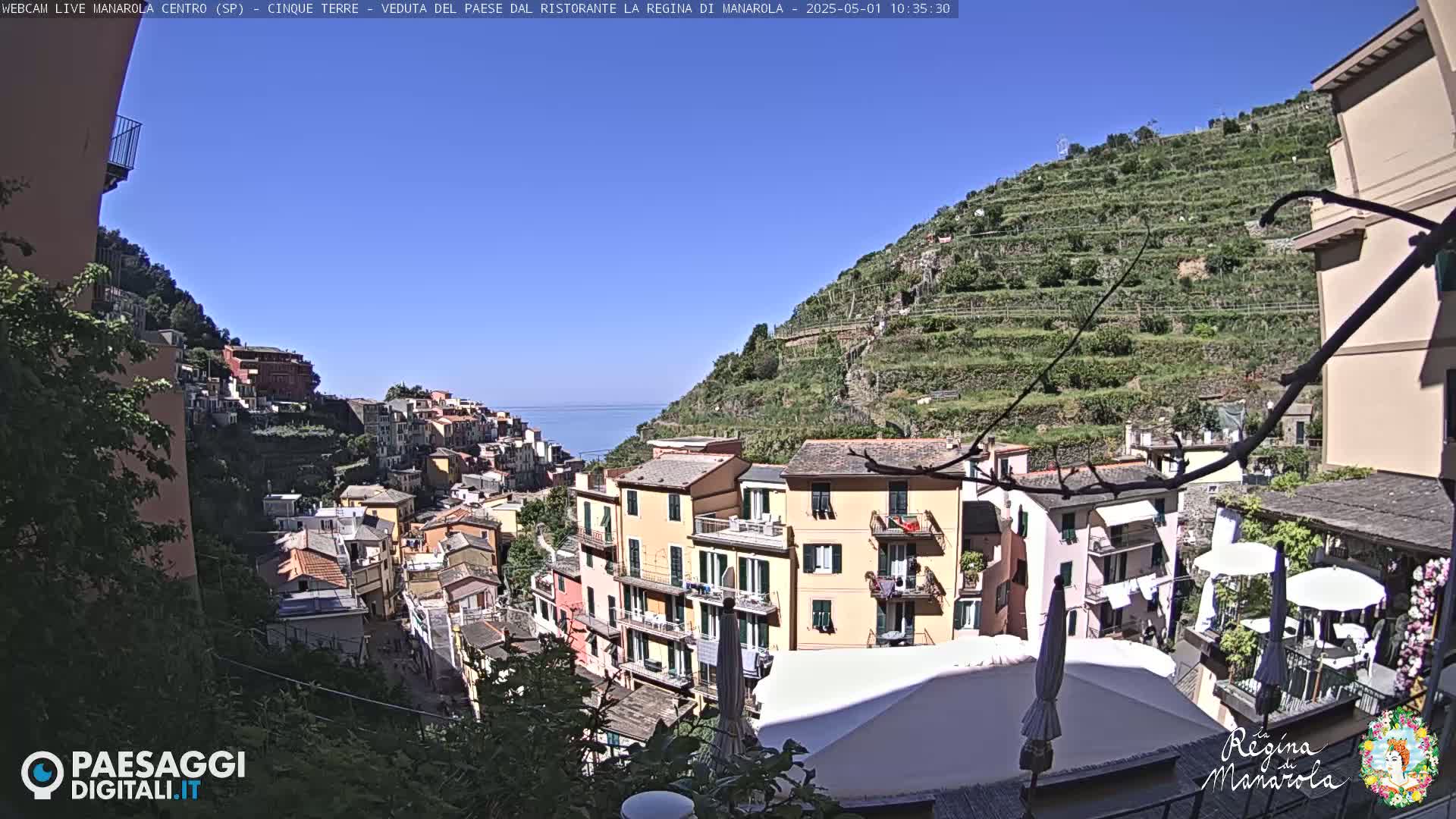 A sunny day reveals a coastal Italian village built into a hillside, with terraced vineyards above and the sea visible in the distance.