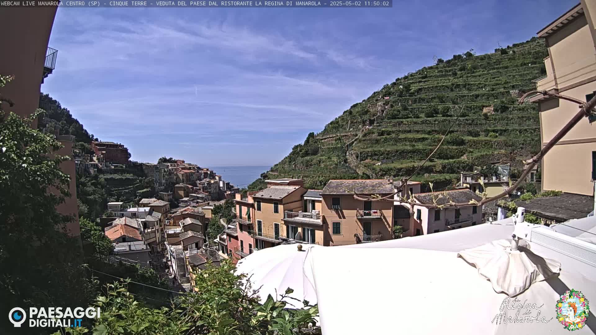A sunny view overlooking a colorful hillside village nestled against terraced vineyards, with the ocean visible in the distance.