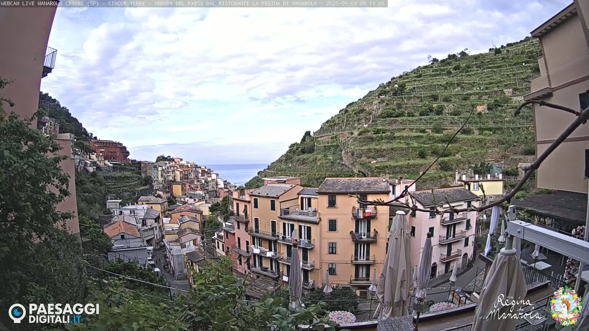 A hillside village overlooking the sea under a partly cloudy sky, with terraced vineyards on the slopes above the colorful buildings.