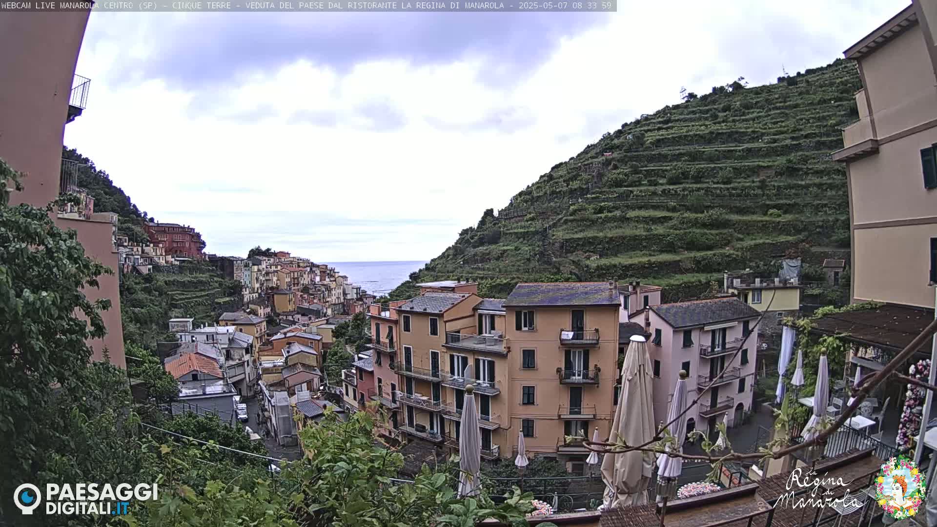 A hillside village overlooking a calm sea under a cloudy sky, terraced vineyards rising behind multi-story buildings.