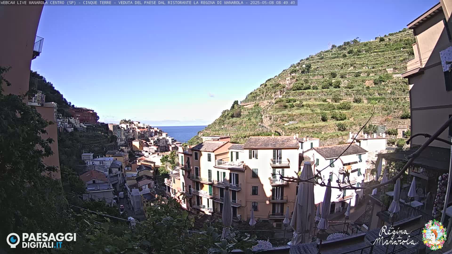 A sunny coastal village is nestled into a hillside overlooking a calm sea, with terraced vineyards rising above the buildings.