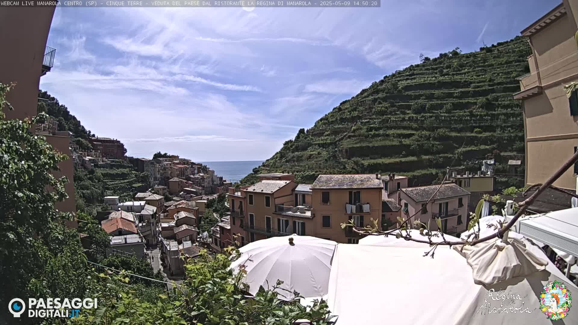 A sunny day reveals a picturesque coastal town nestled on a hillside, terraced vineyards rising above colorful buildings, with the ocean visible in the distance.