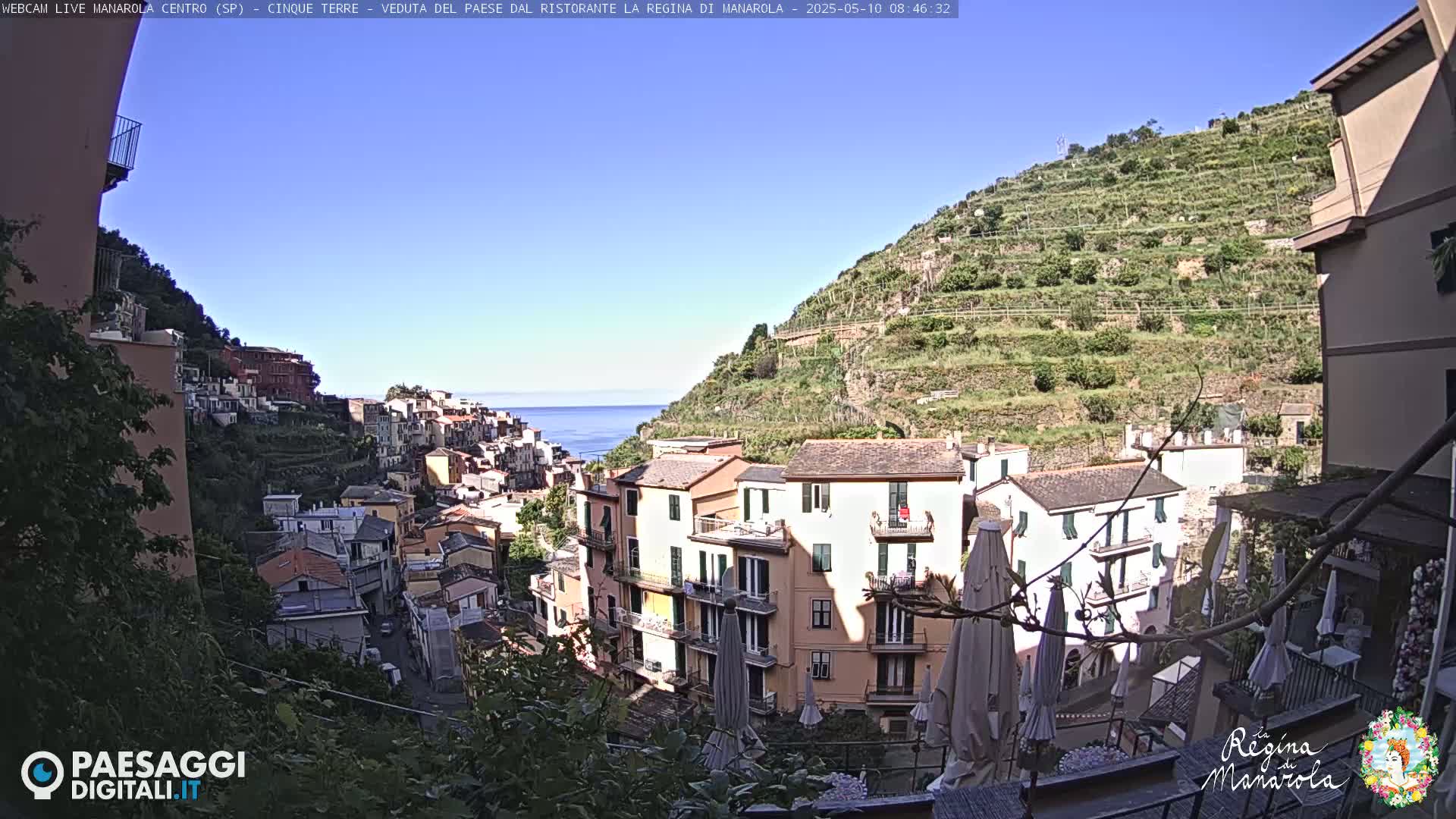 A sunny coastal town built on a steep hillside overlooks a calm sea, with terraced vineyards ascending the slopes behind it.