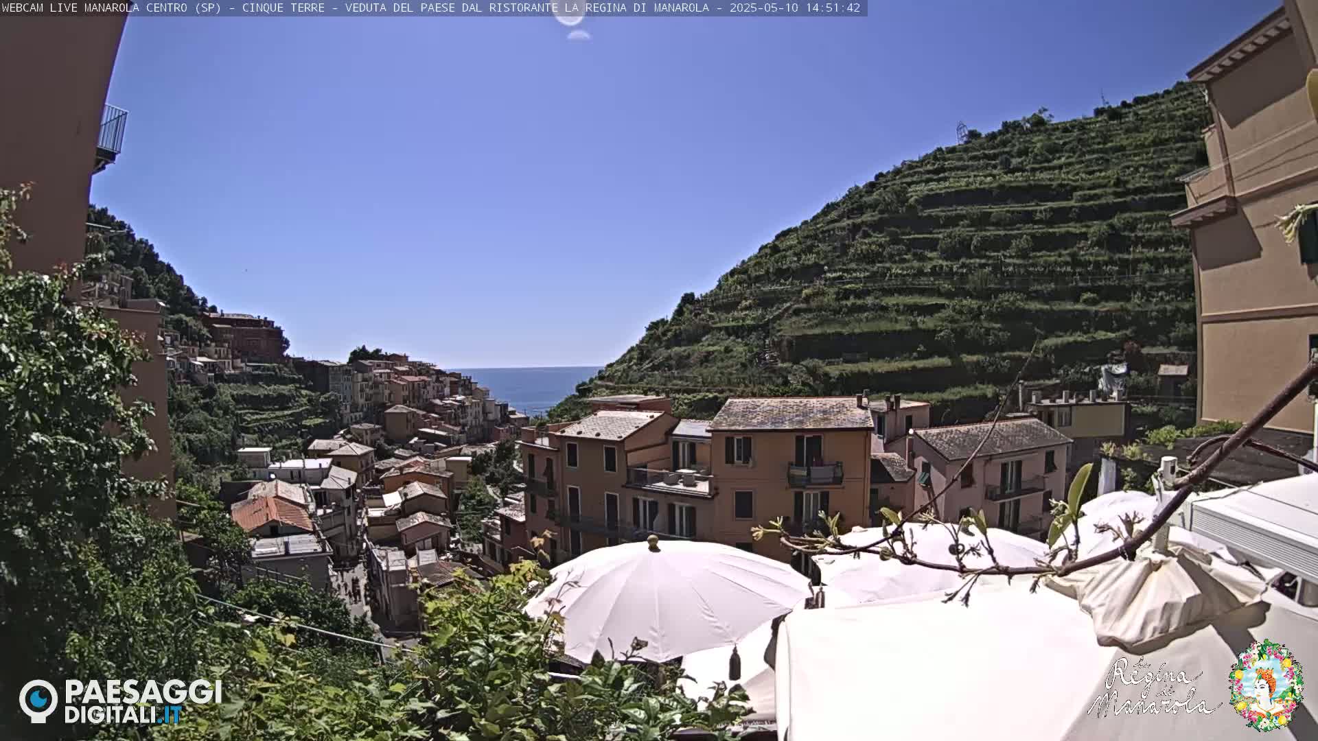A sunny day overlooking a colorful hillside village perched above the ocean, with terraced vineyards on the slopes and patio umbrellas in the foreground.