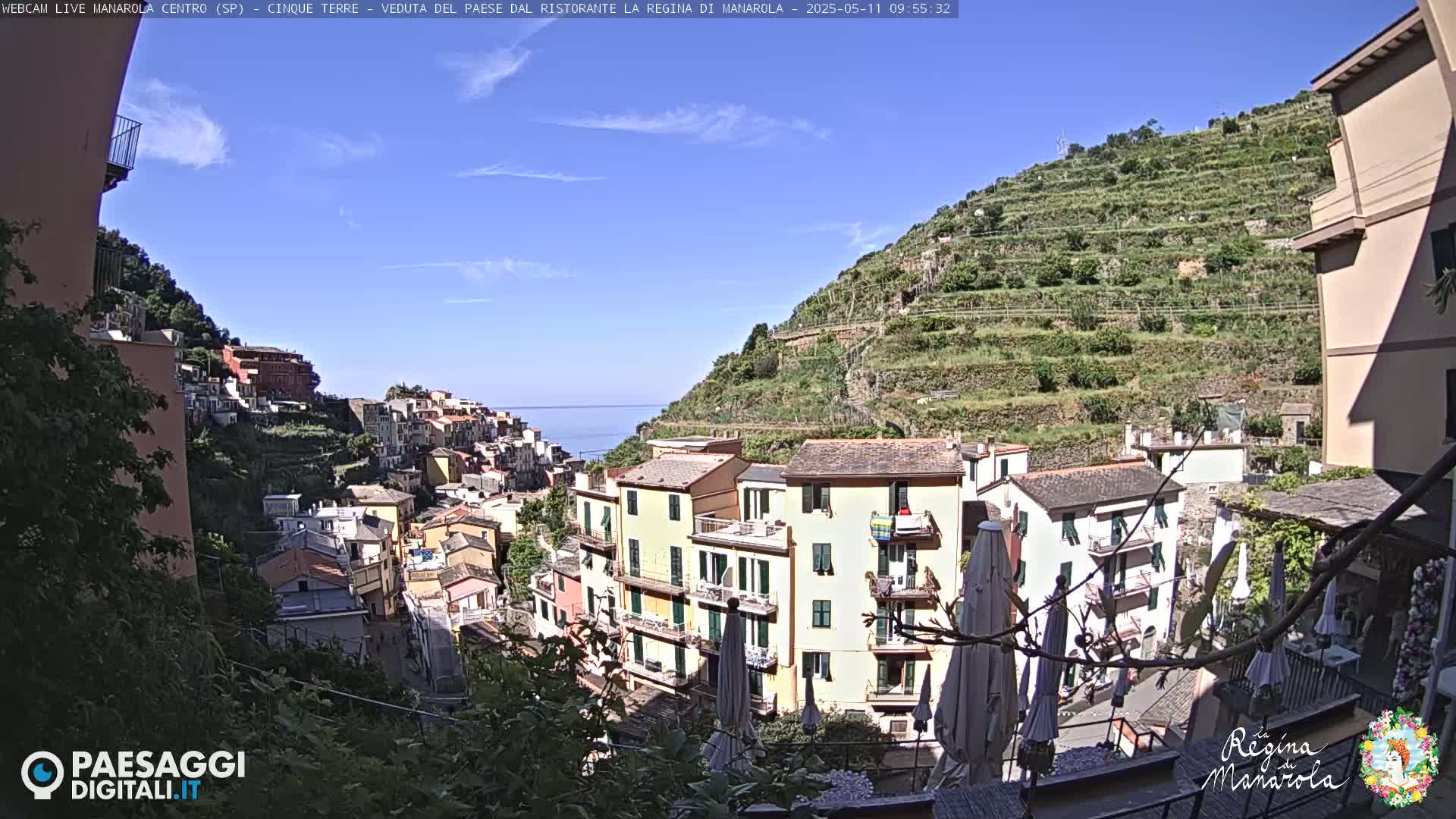 A sunny day reveals a picturesque coastal village nestled on a hillside, with terraced vineyards climbing the slopes above colorful buildings and a tranquil sea in the background.
