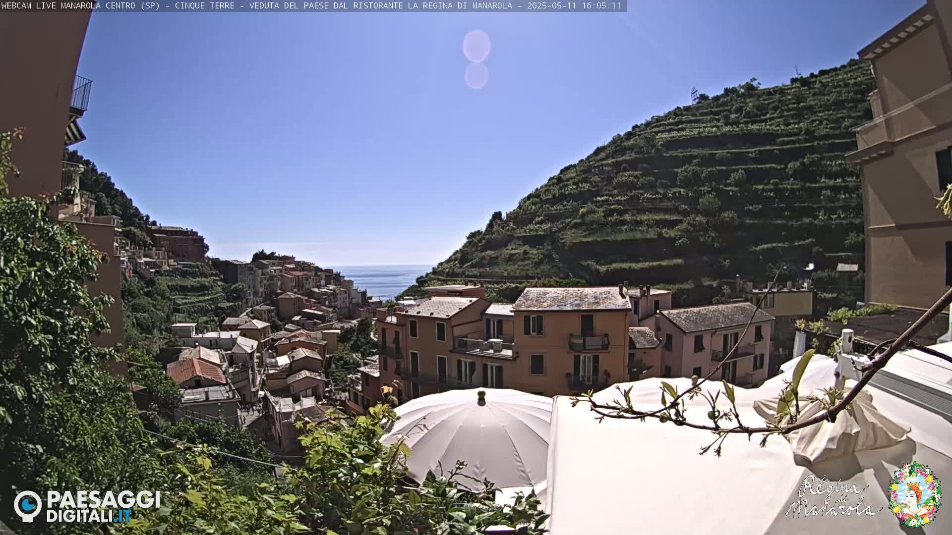 A sunny day overlooking a colorful hillside village nestled between the sea and terraced vineyards.