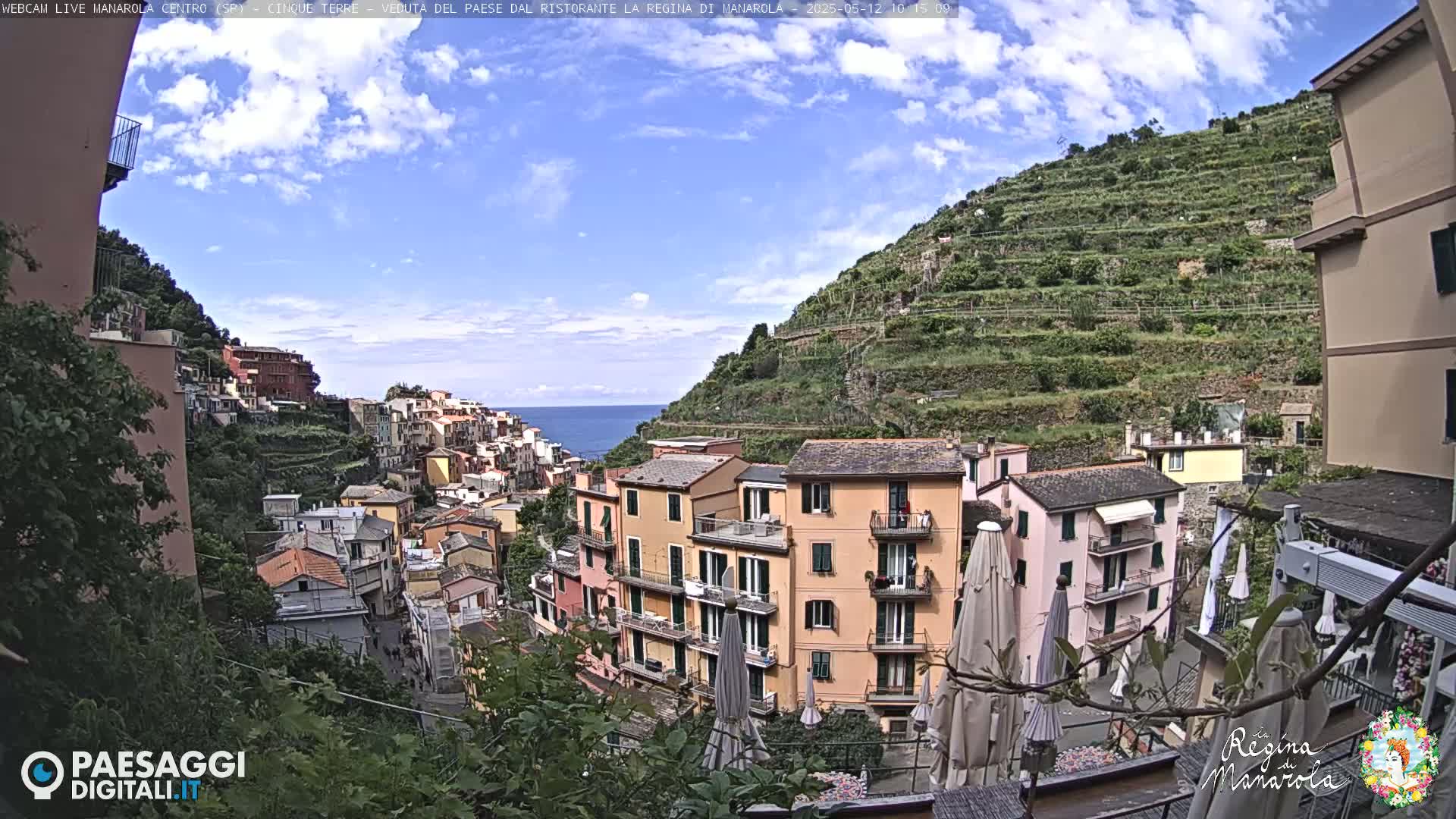 A picturesque coastal village clings to a hillside overlooking the sea under a mostly sunny sky, with terraced vineyards ascending the slopes behind colorful buildings.