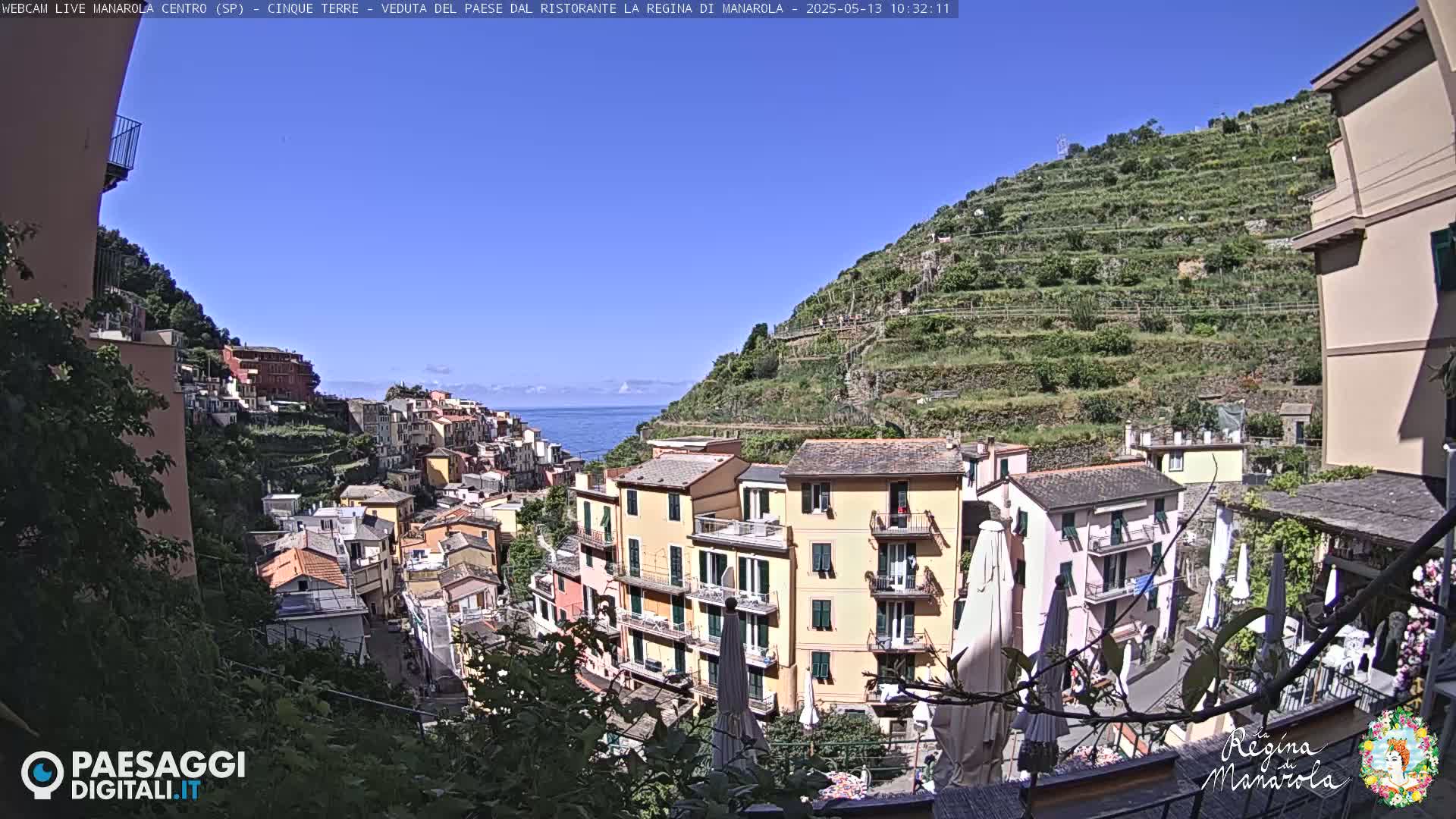 A picturesque coastal town, nestled on a hillside with terraced vineyards, overlooks a calm blue sea under a clear, sunny sky.